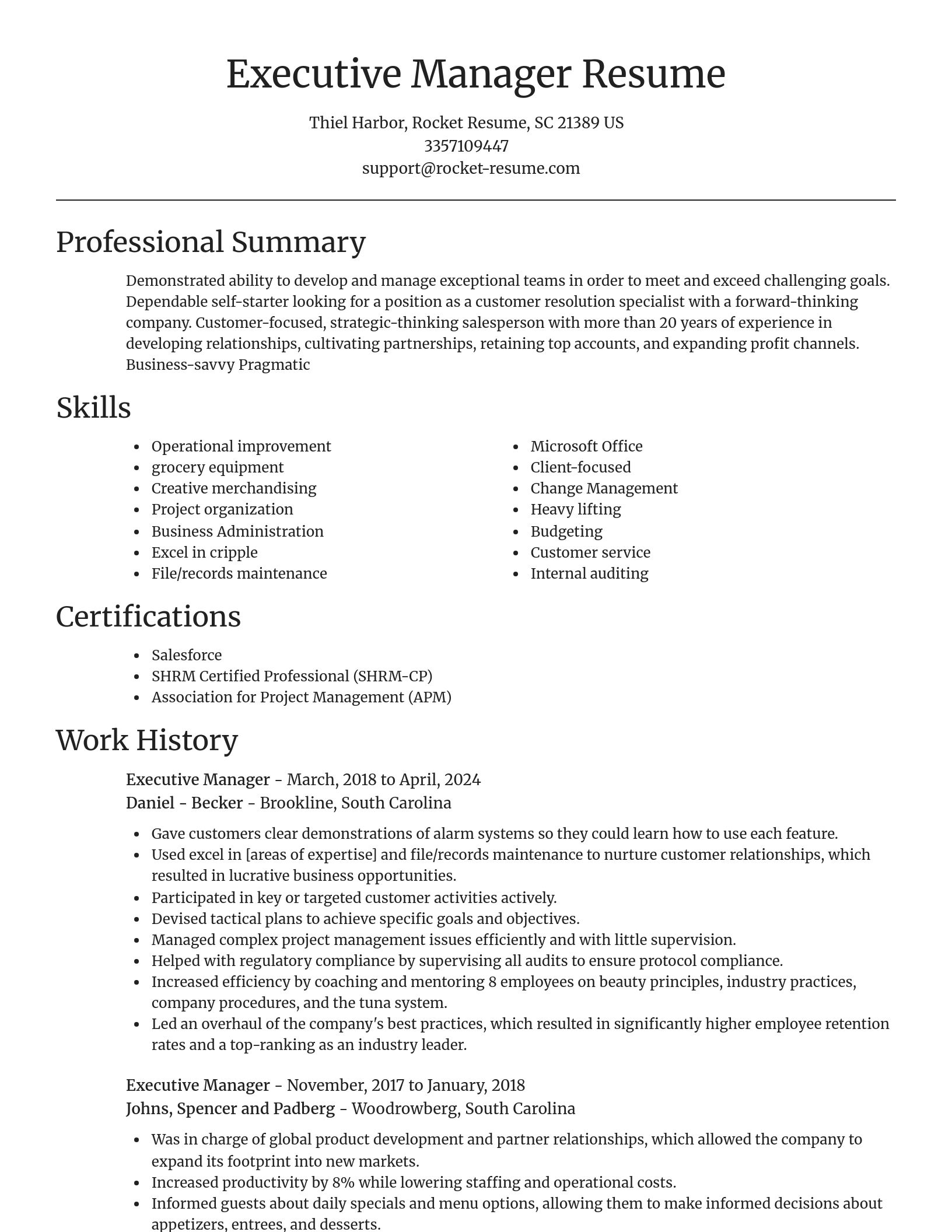 Focal Point resume template
