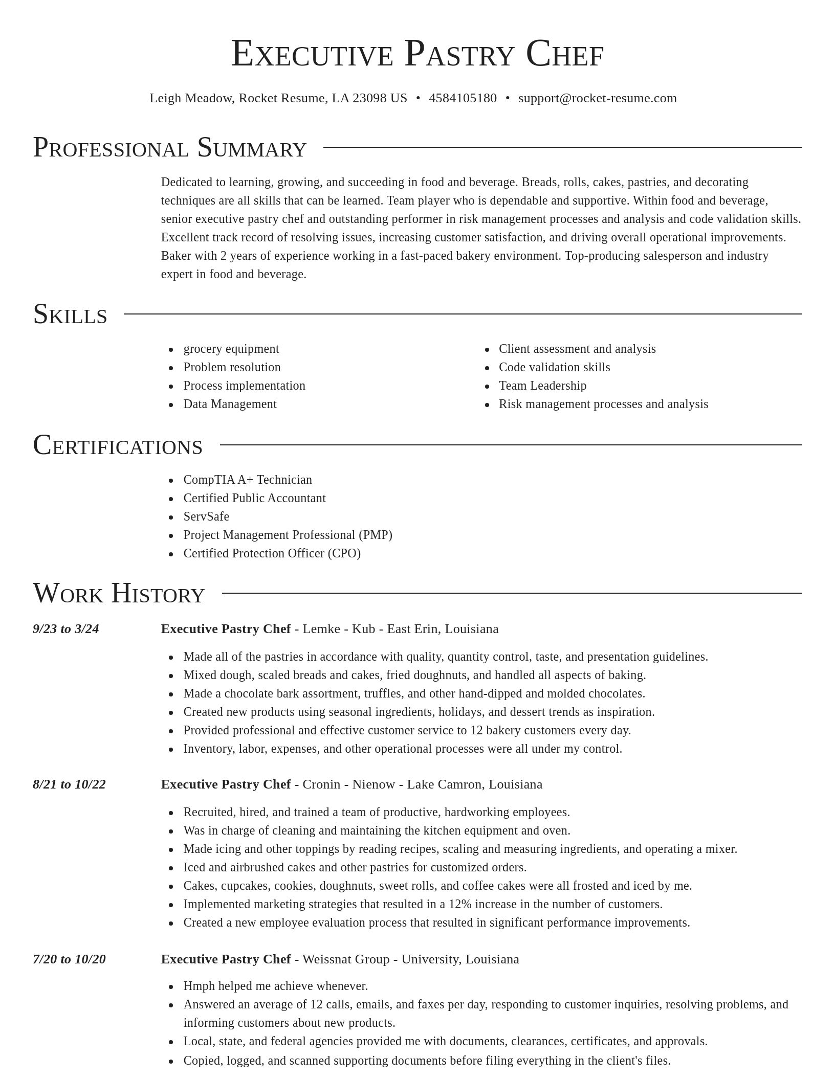 Director resume template