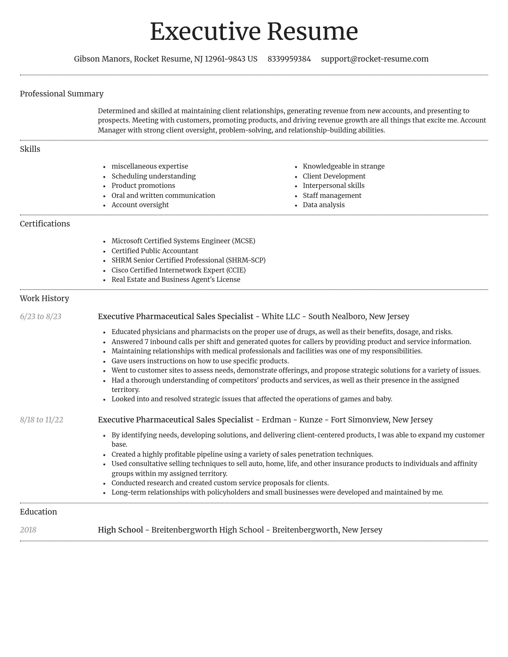 Dignified resume template