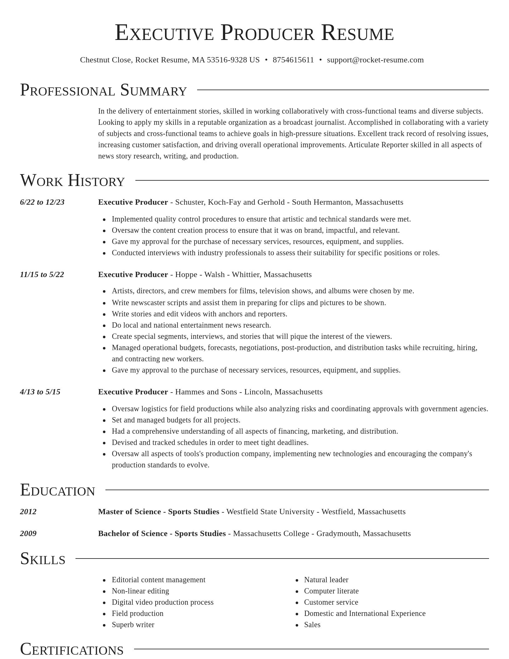 Director resume template
