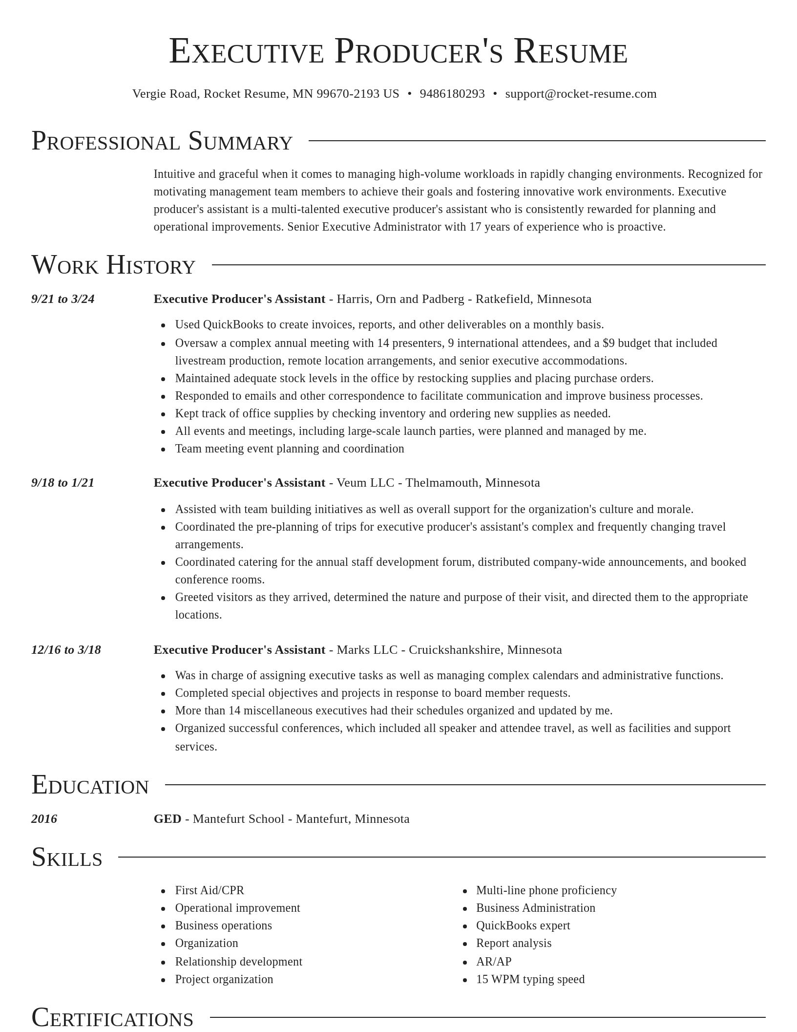 Director resume template