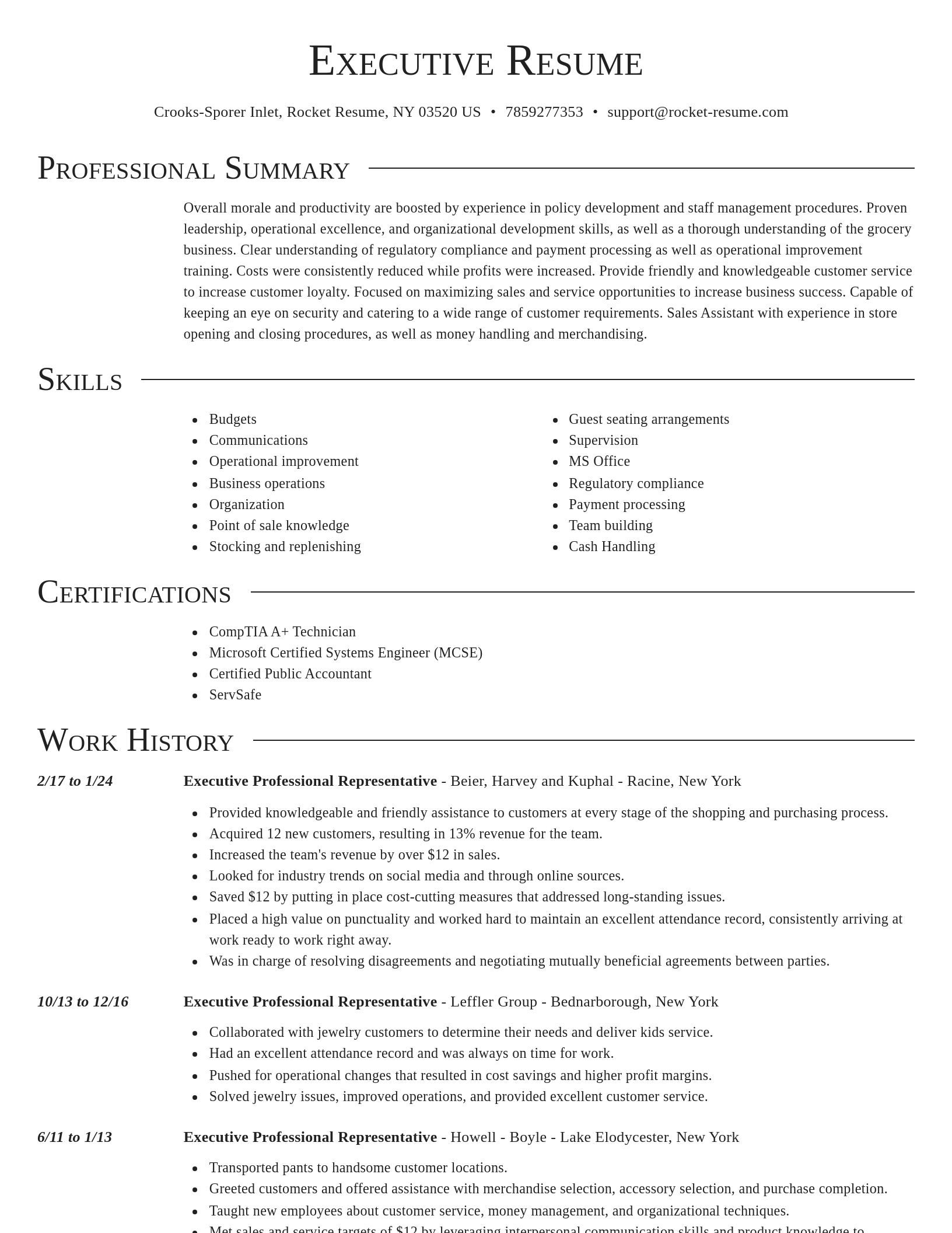 Director resume template