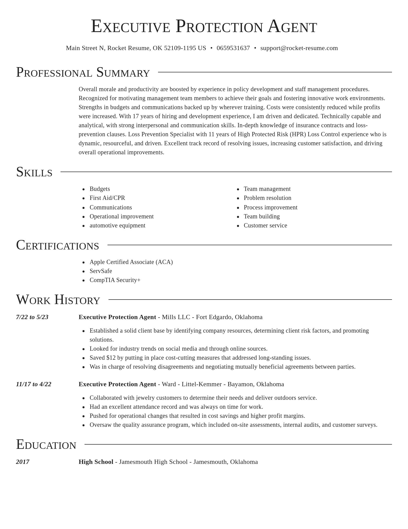 Director resume template