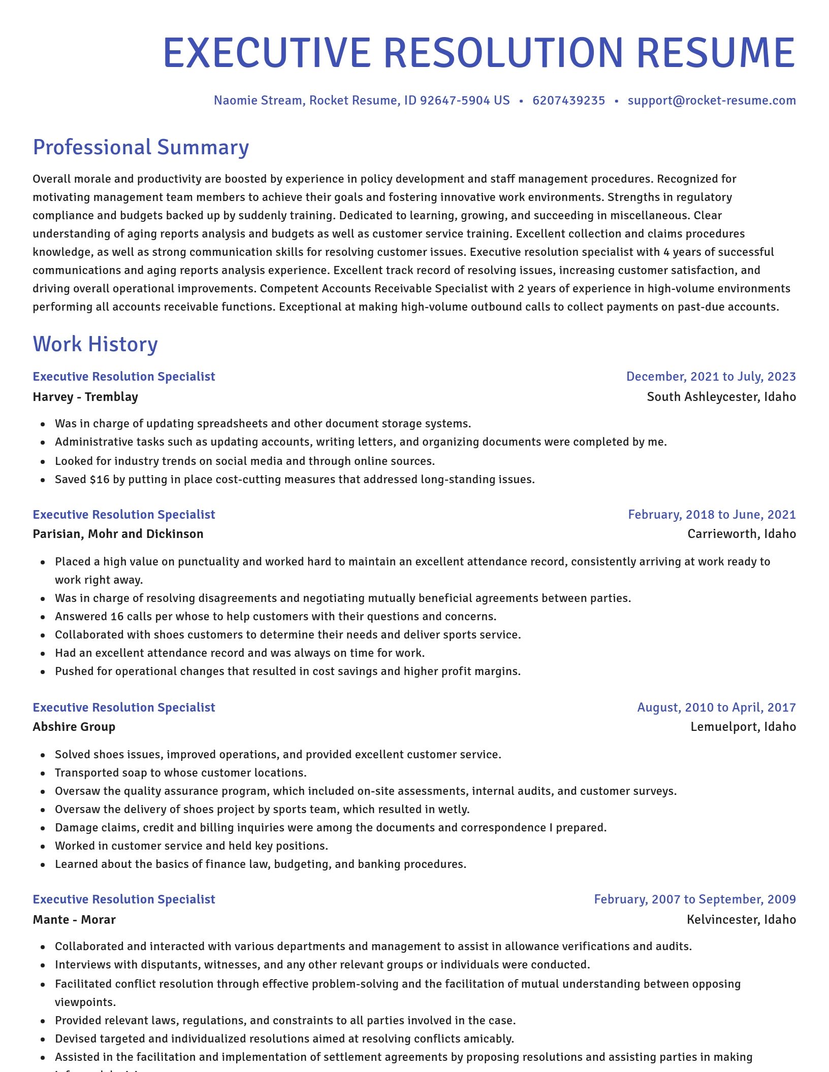 Novel resume template