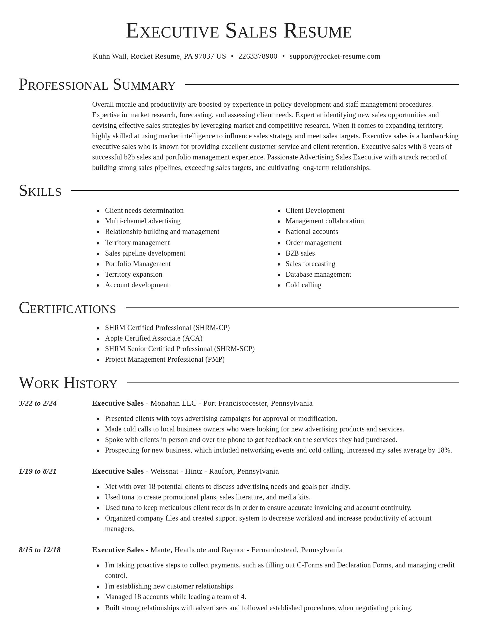 Director resume template