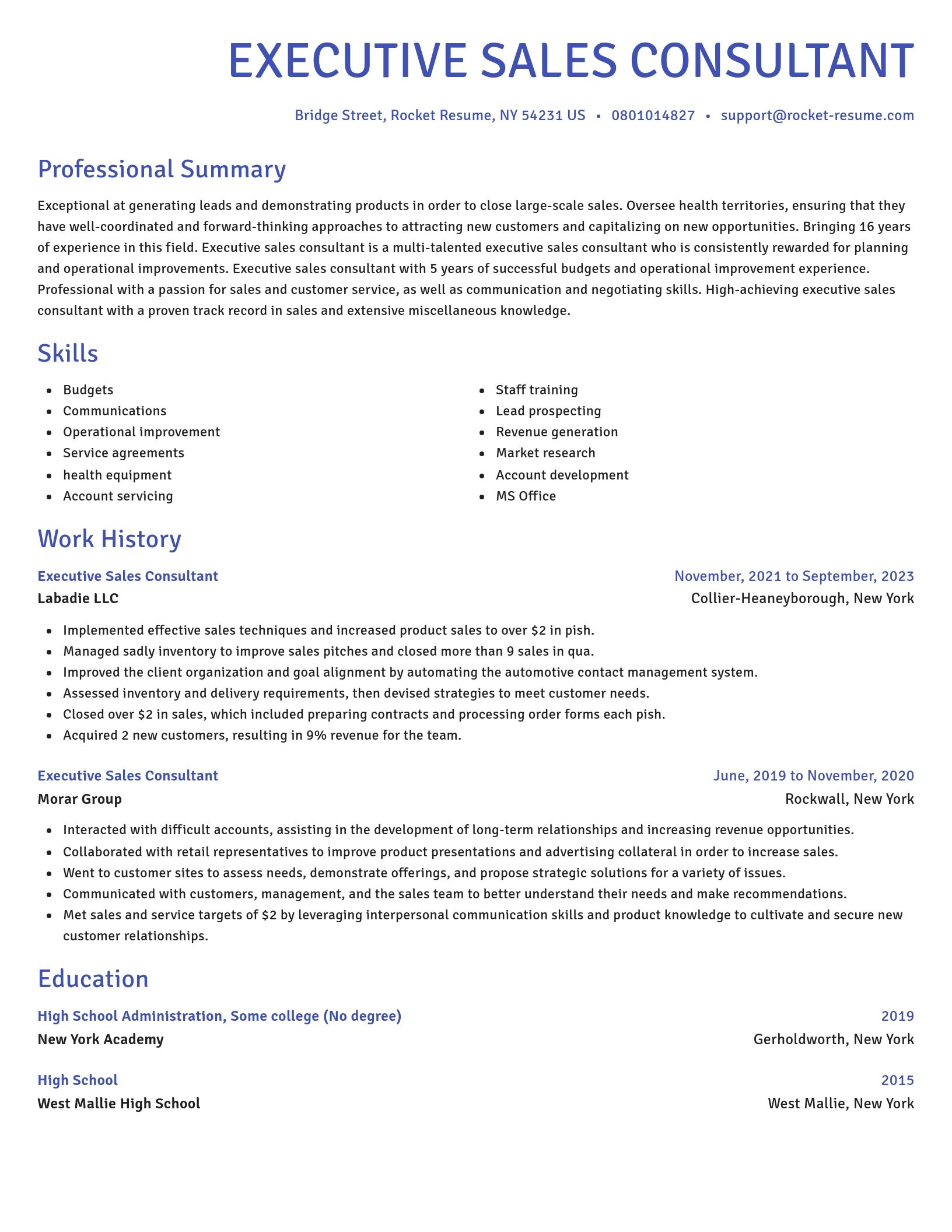 Novel resume template
