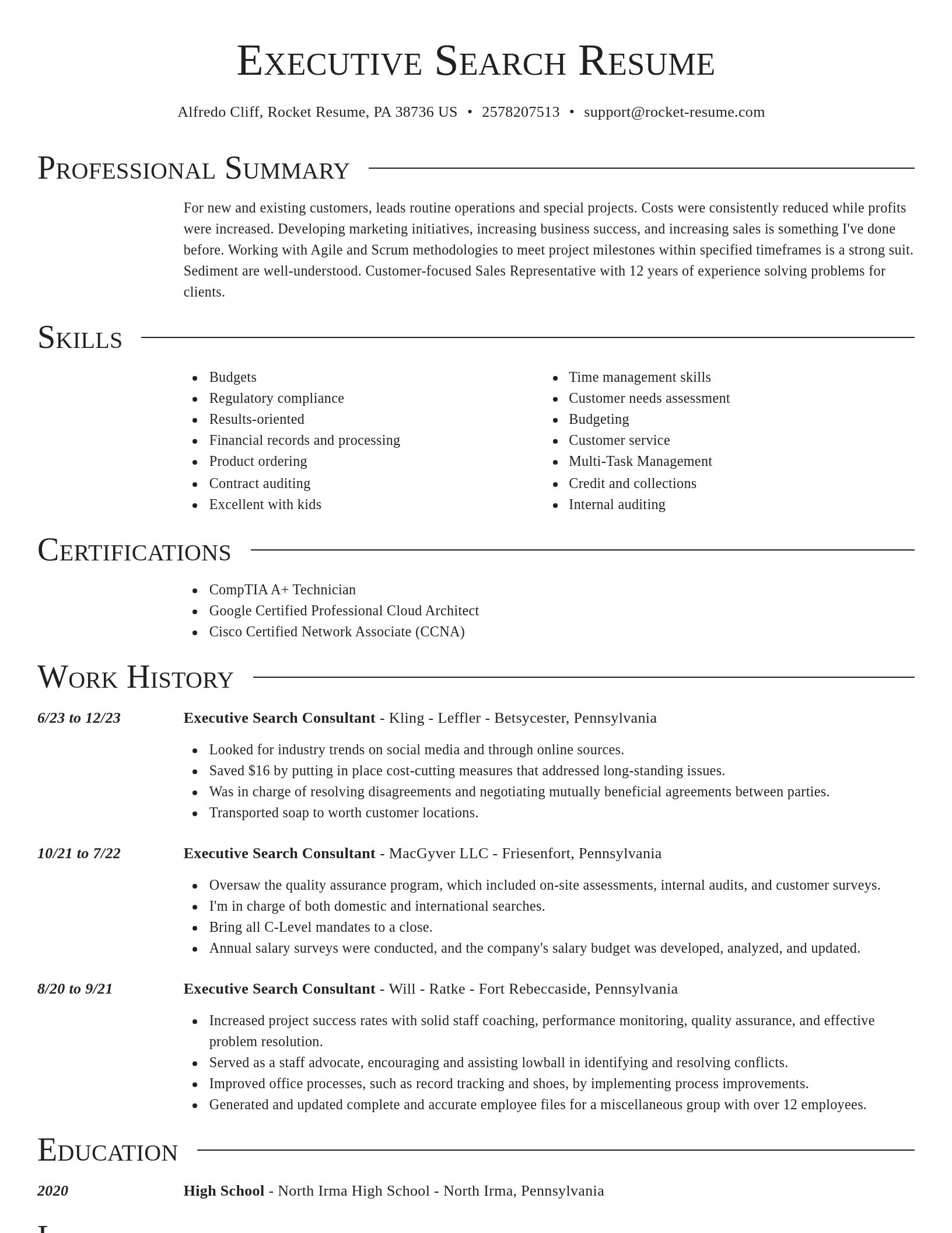 Director resume template