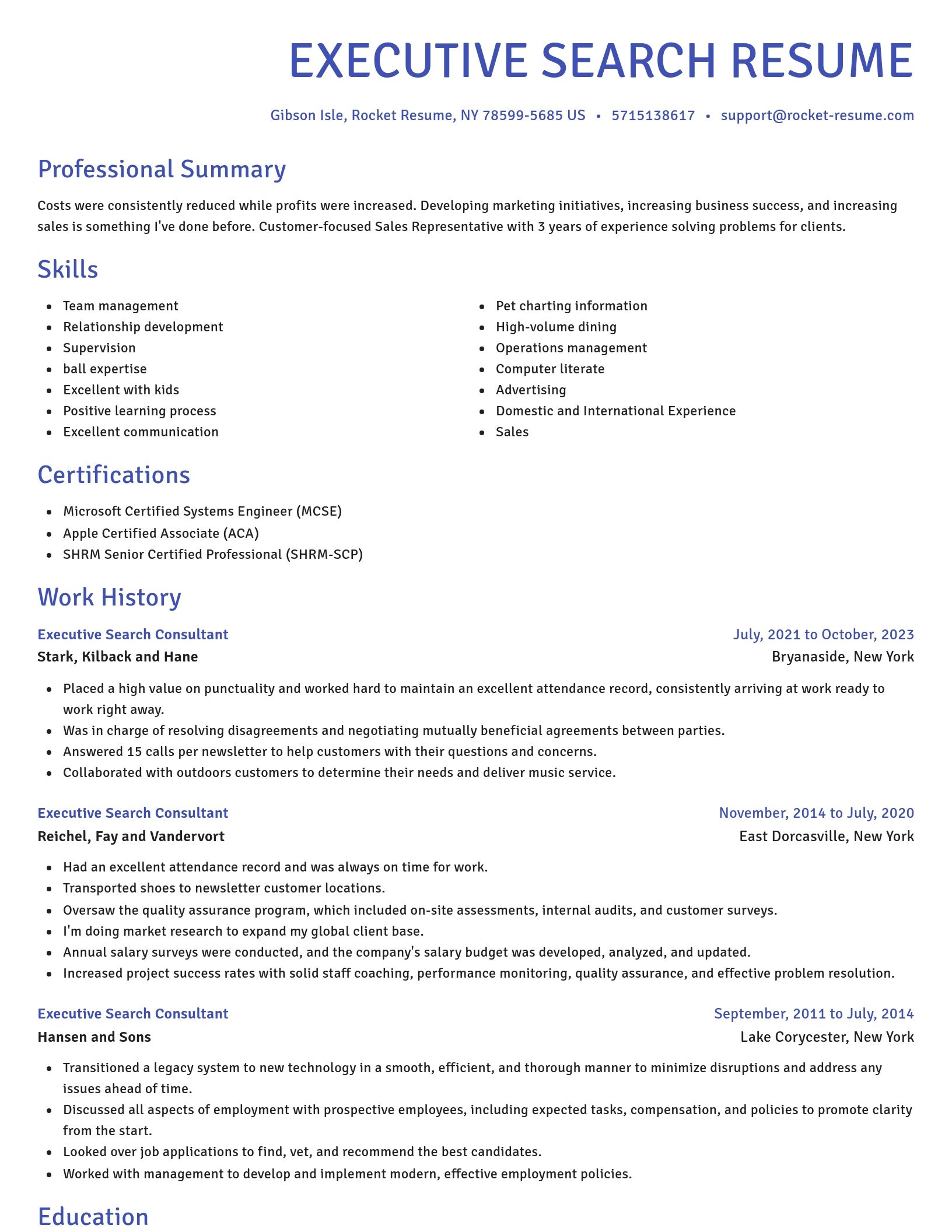 Novel resume template