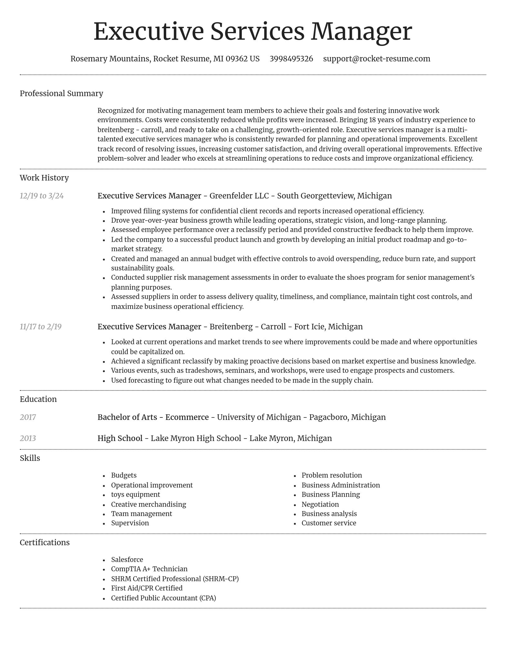 Dignified resume template