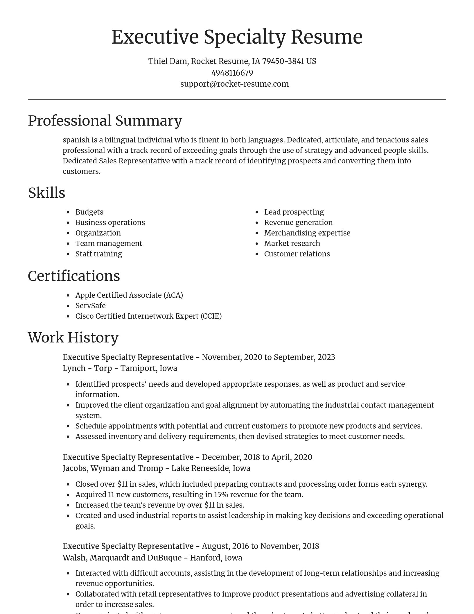 Focal Point resume template
