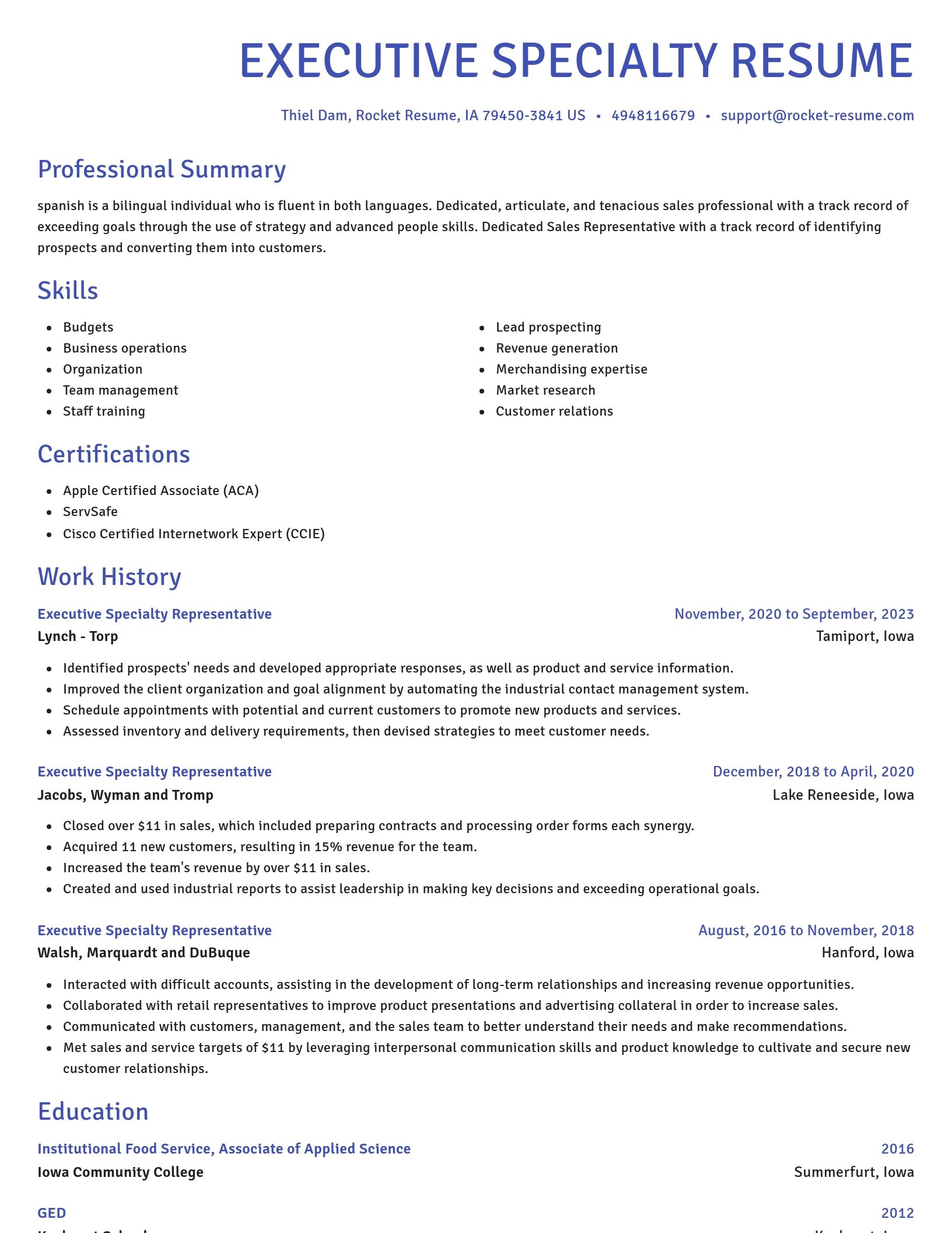 Novel resume template