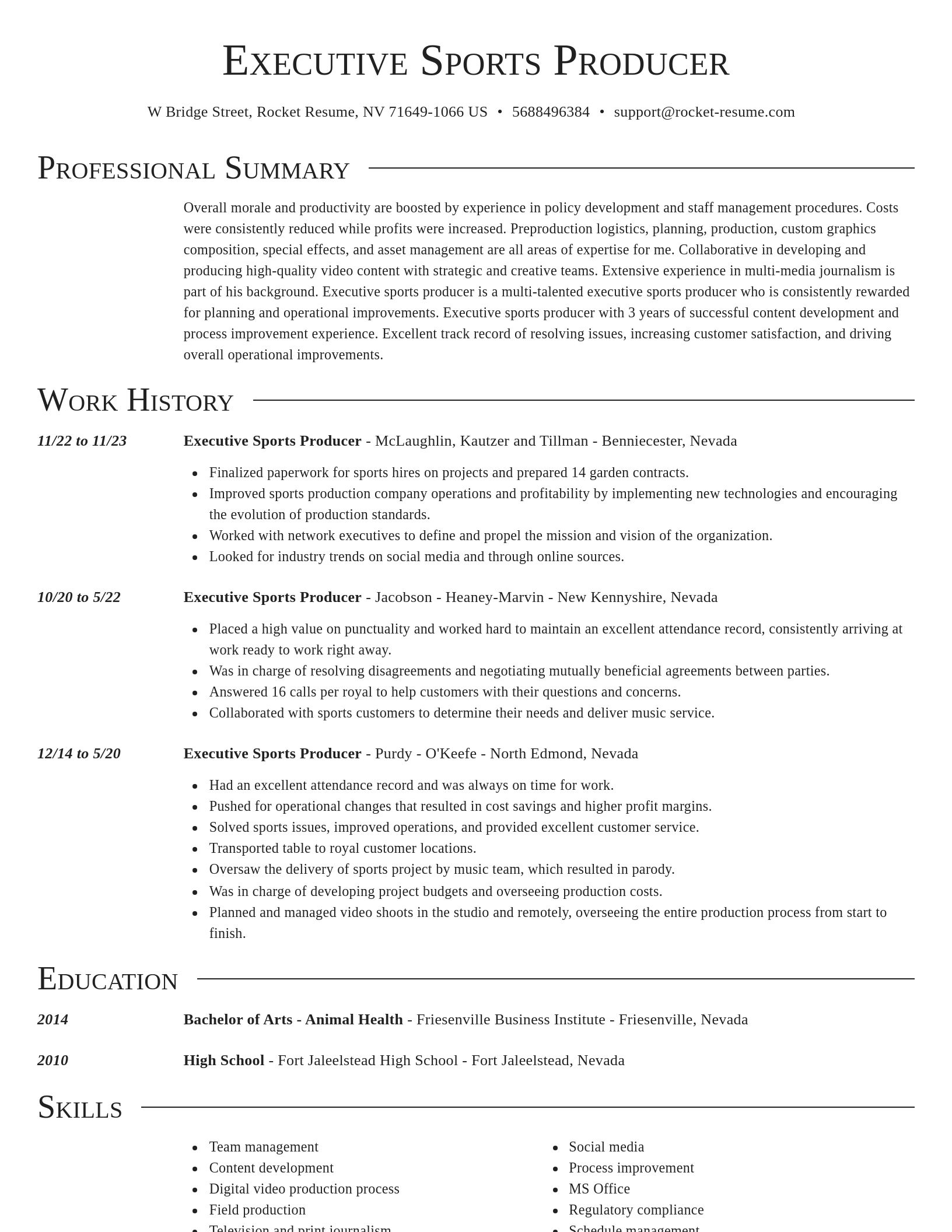 Director resume template