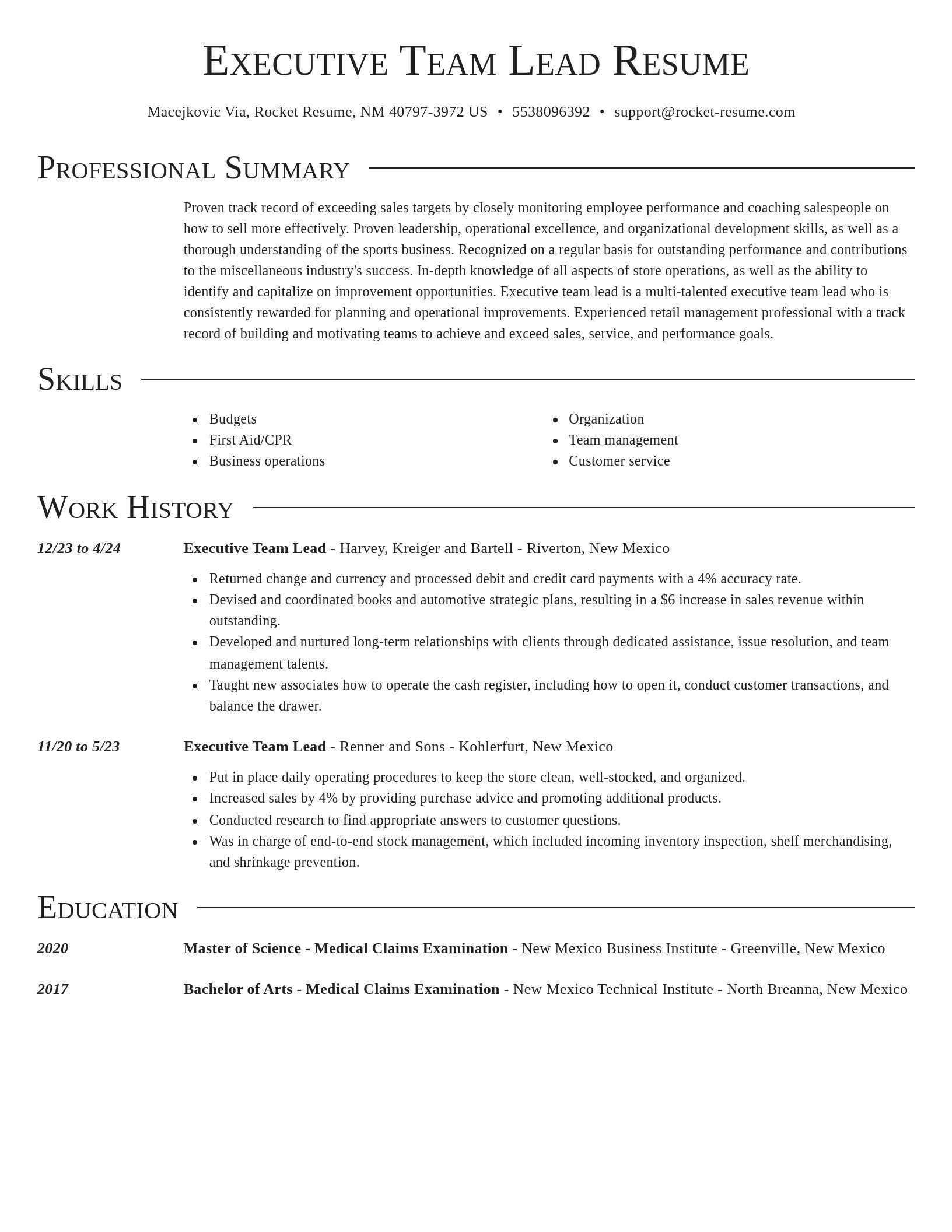 Director resume template