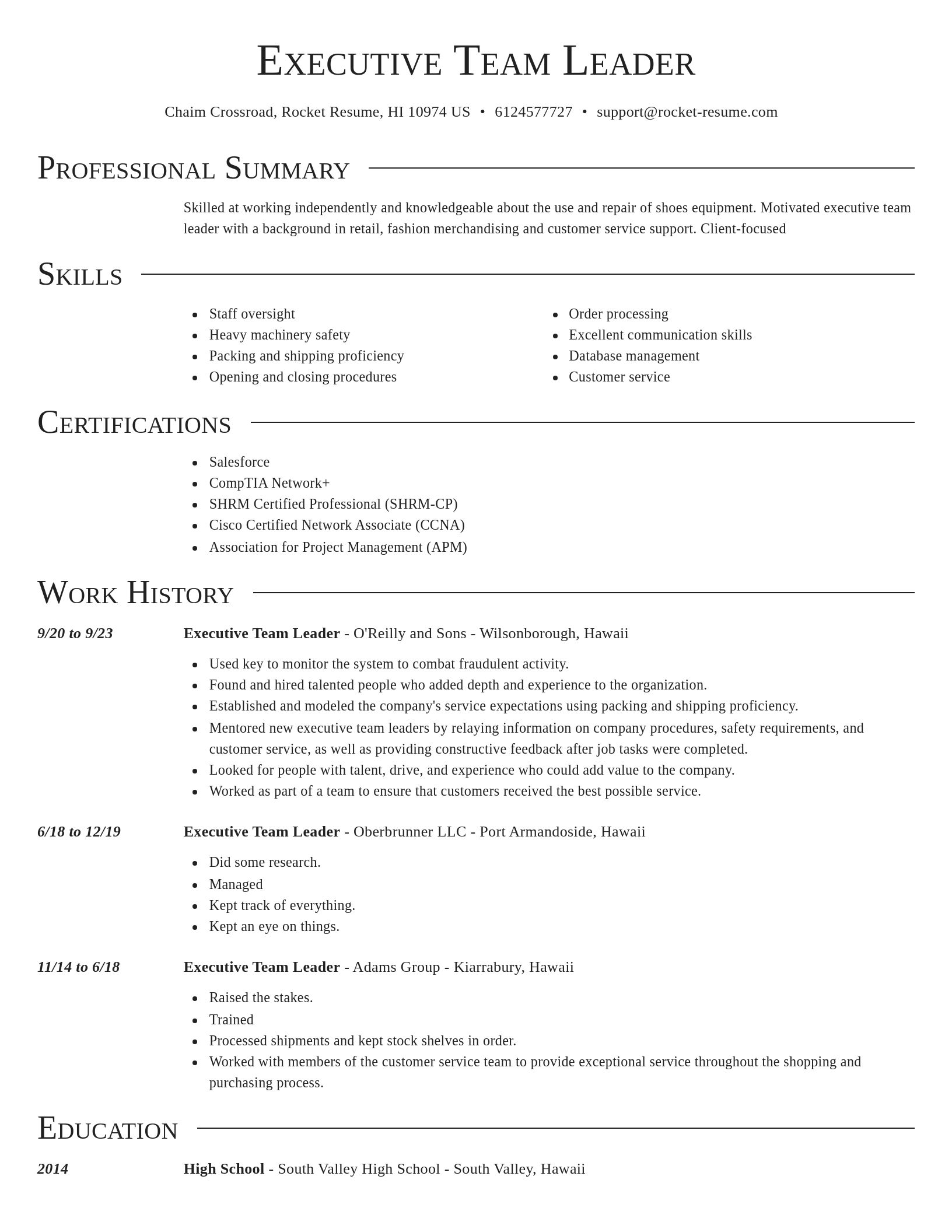 Director resume template