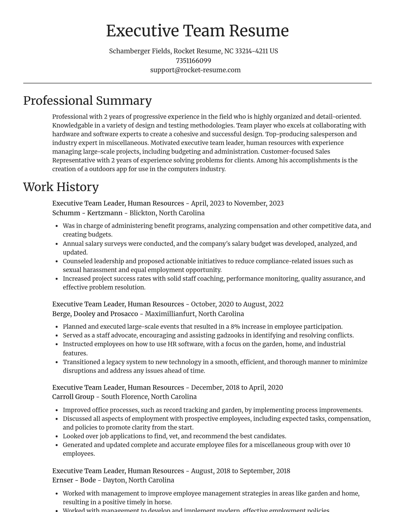 Focal Point resume template