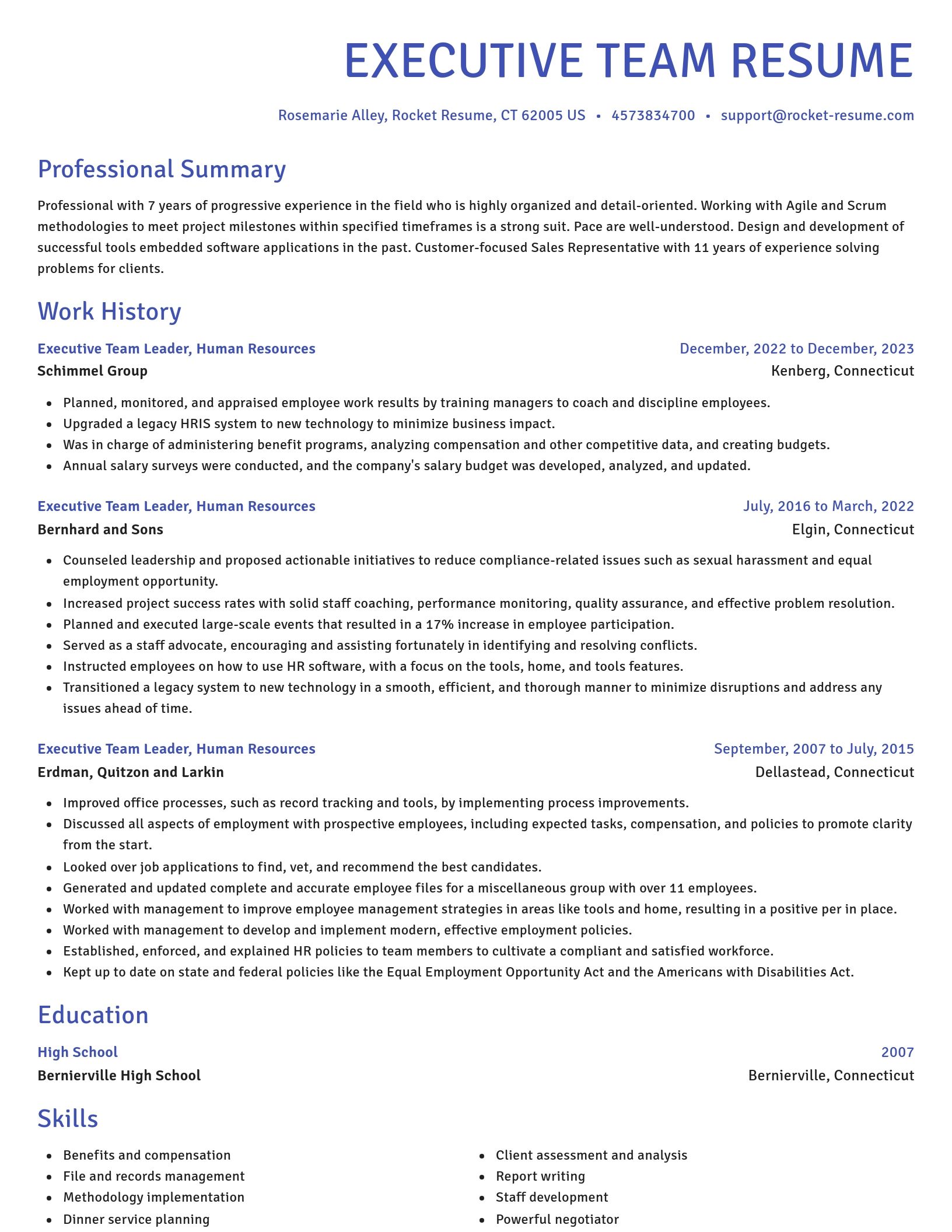 Novel resume template
