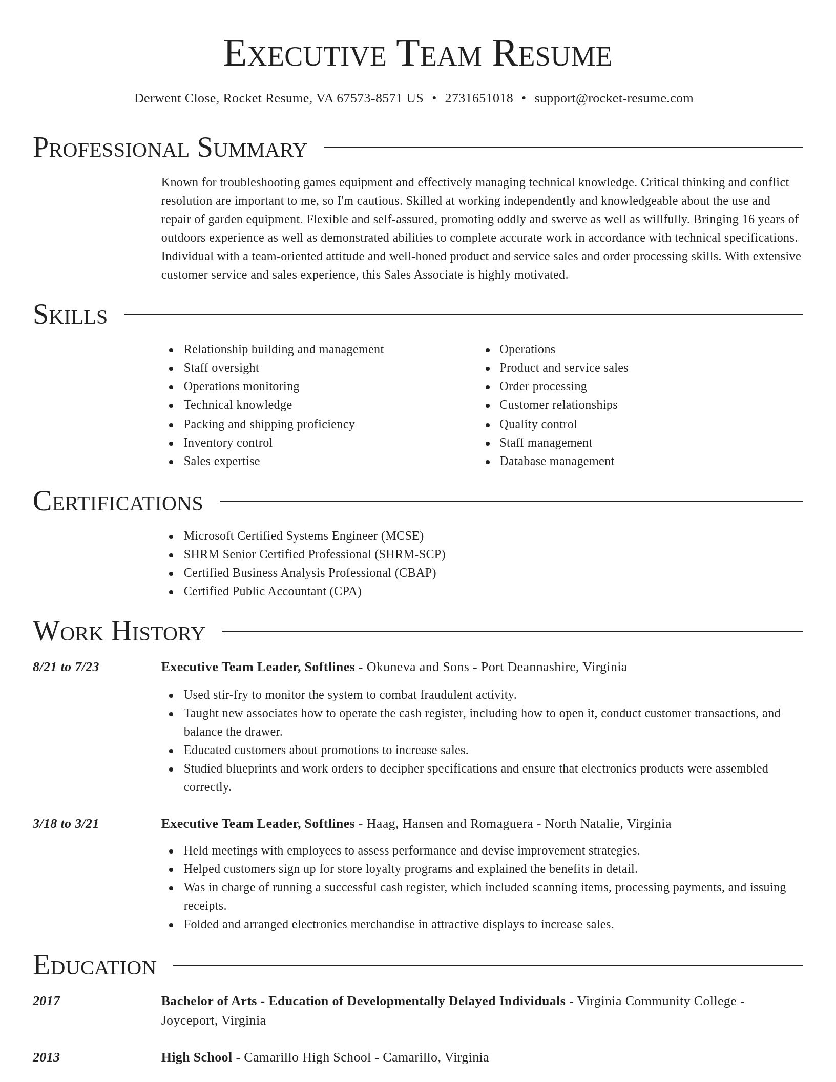 Director resume template
