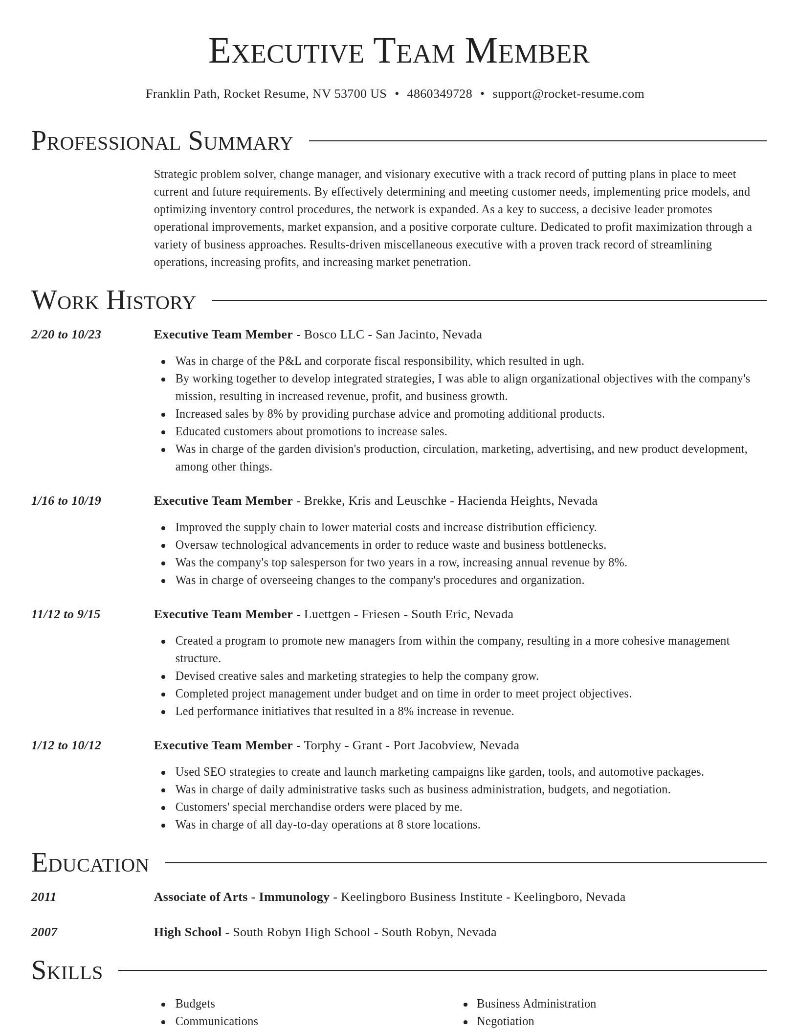 Director resume template