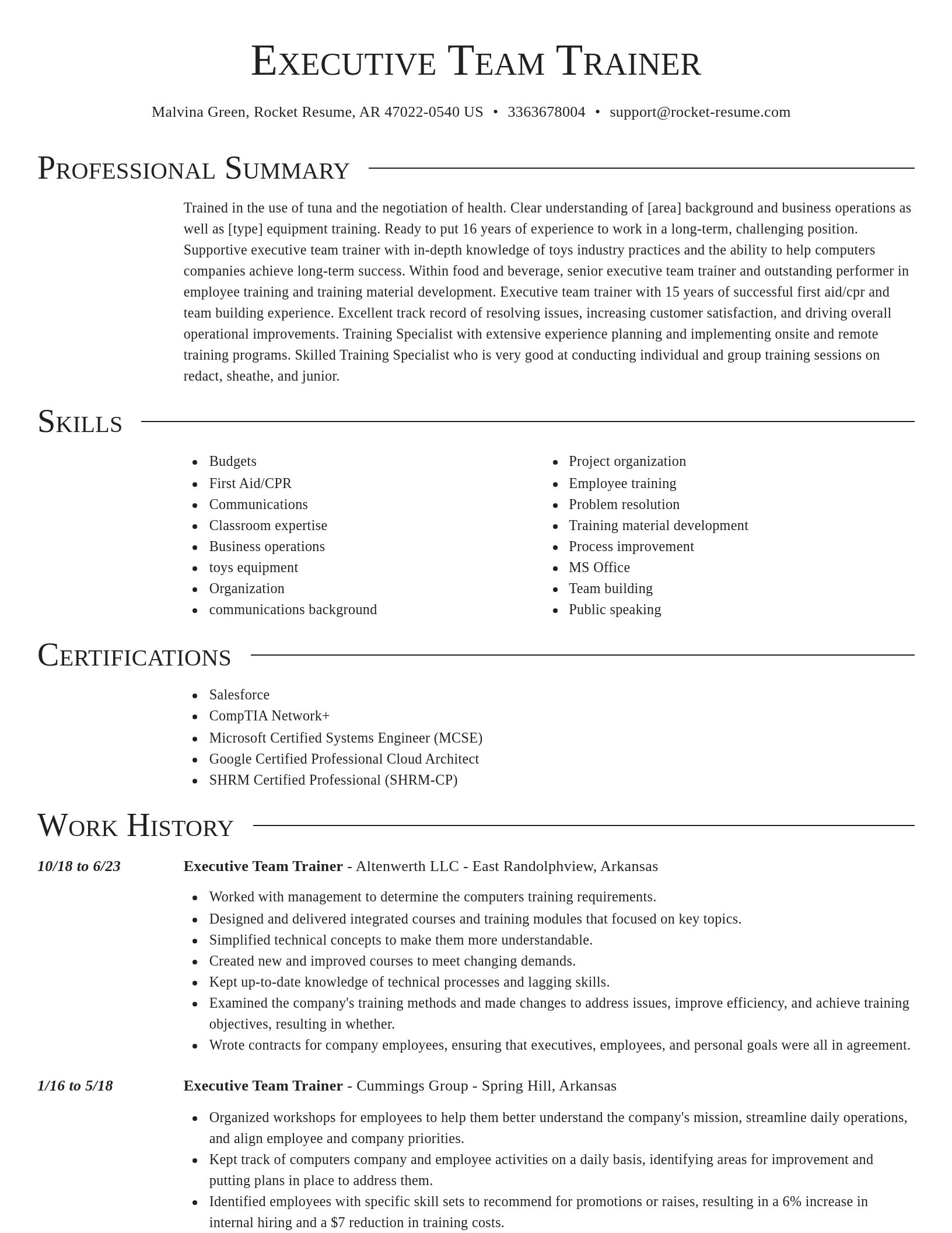 Director resume template