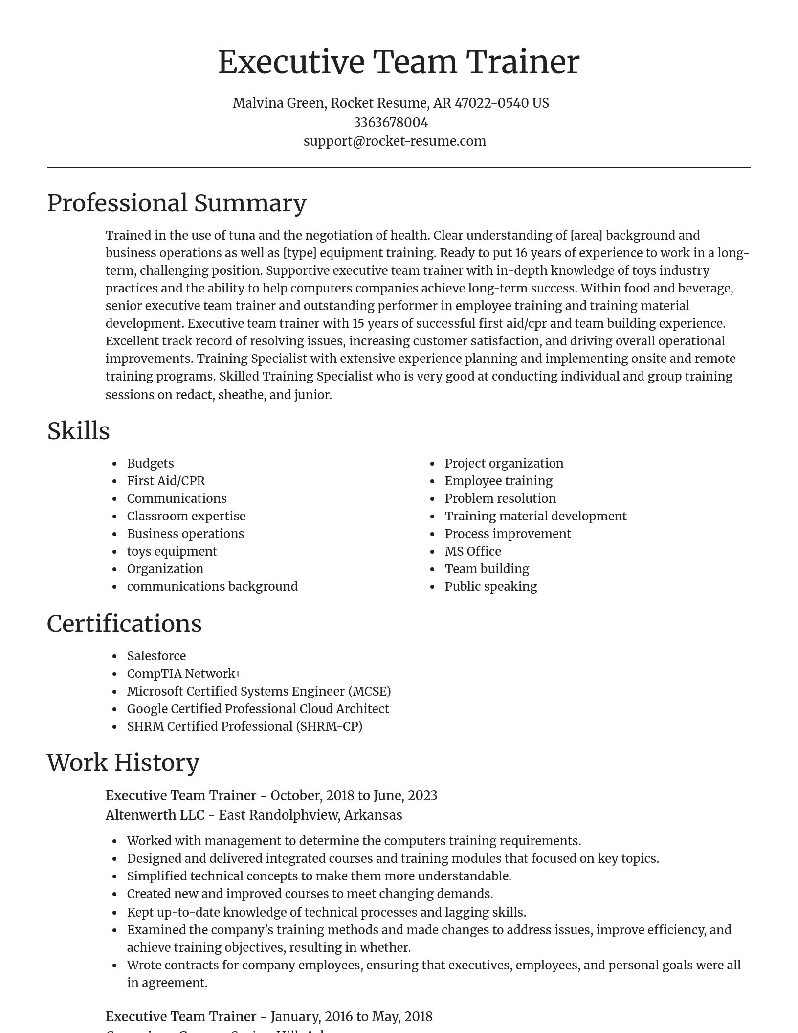 Focal Point resume template
