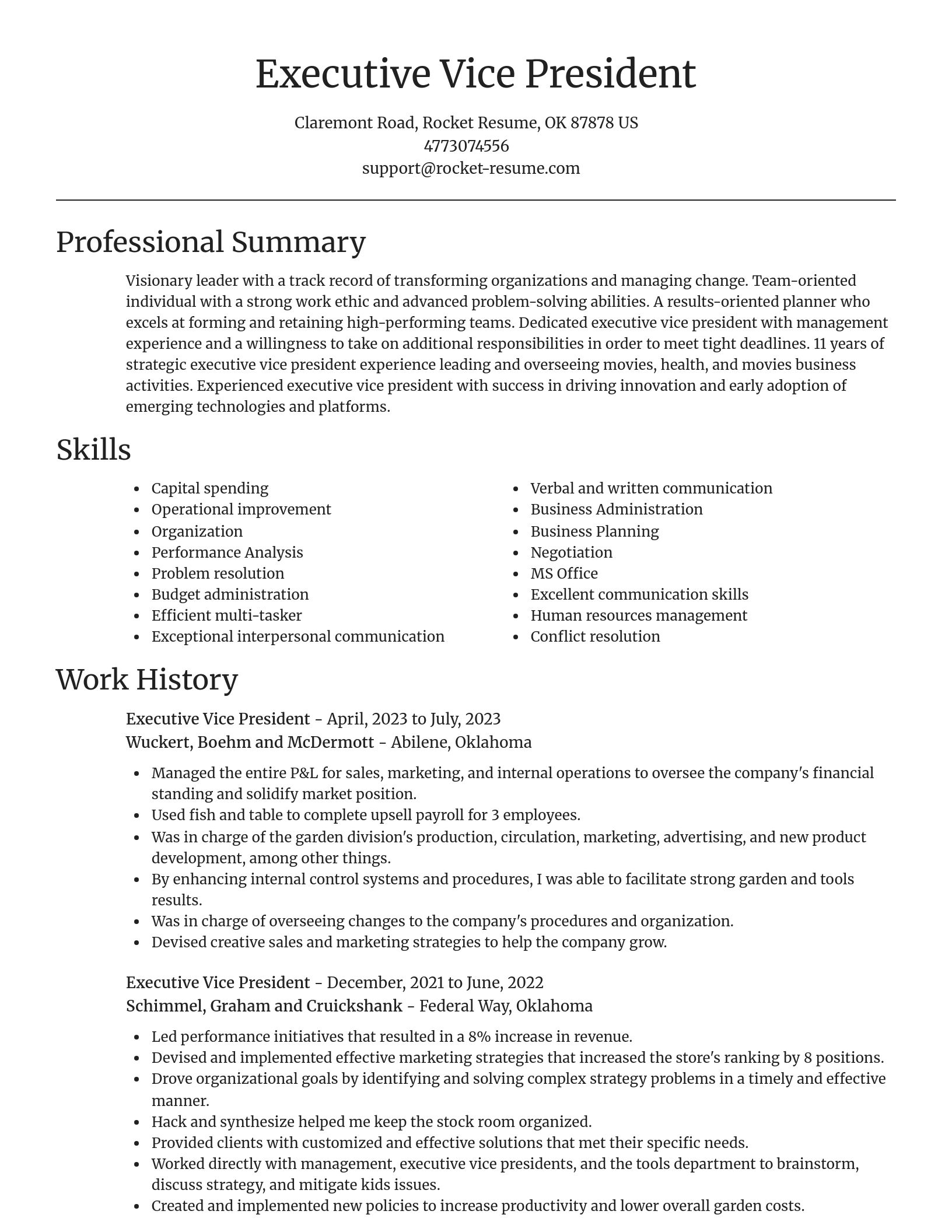 Focal Point resume template