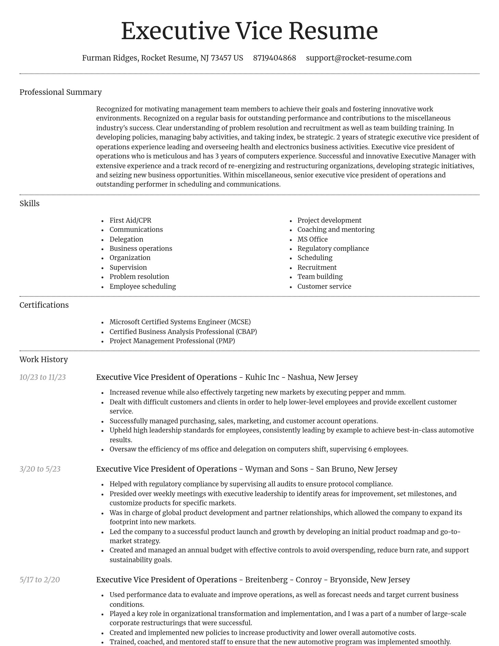 Dignified resume template