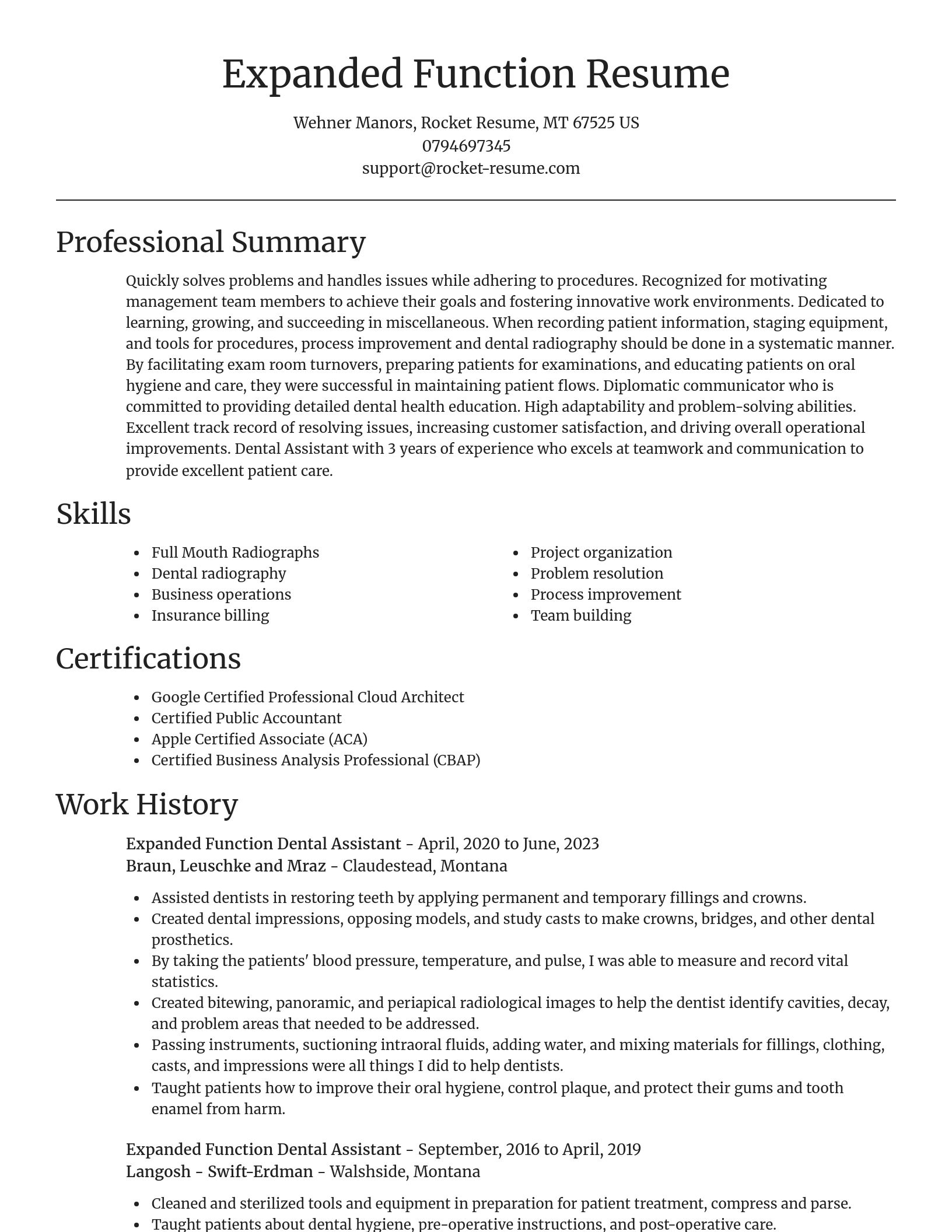 Focal Point resume template