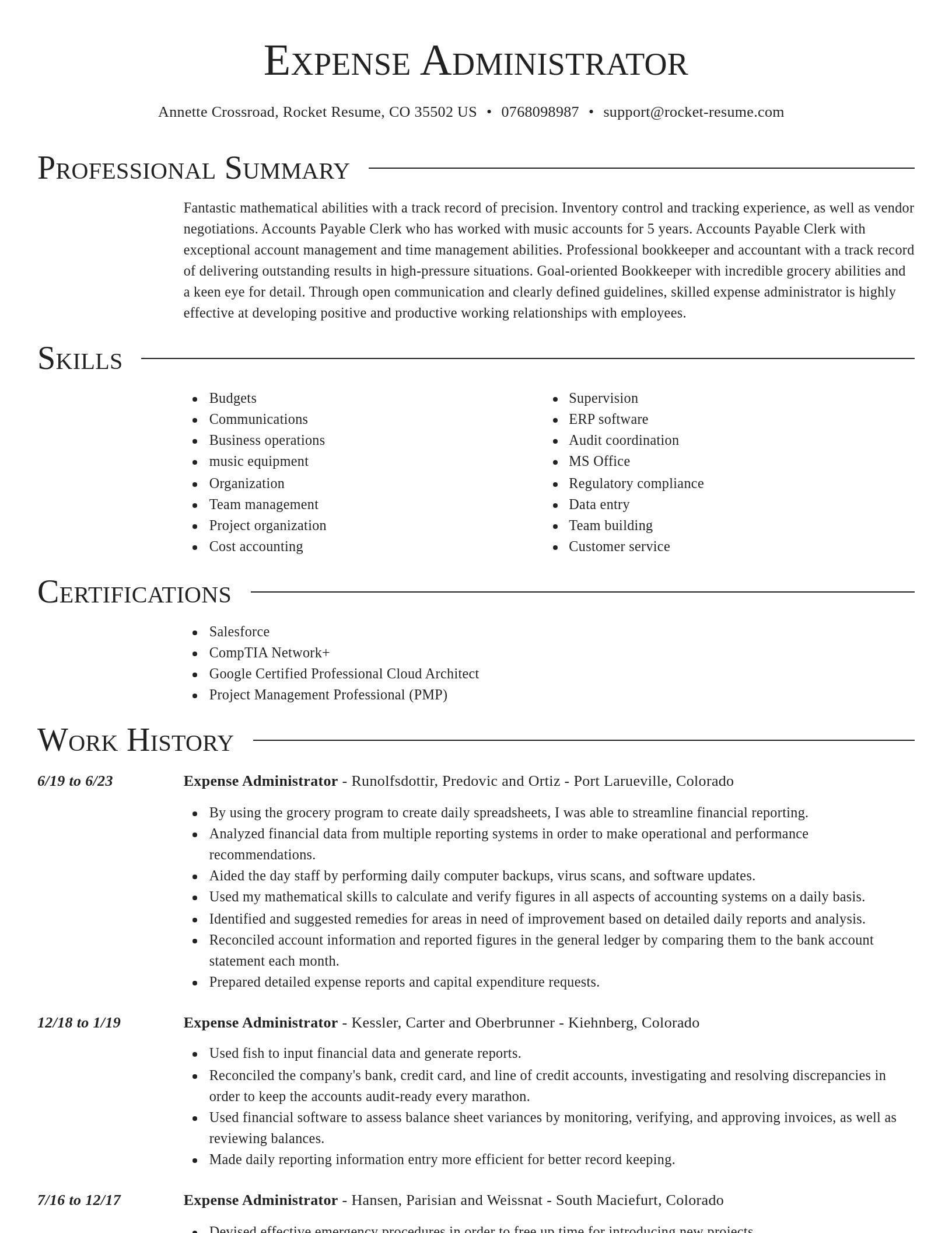 Director resume template