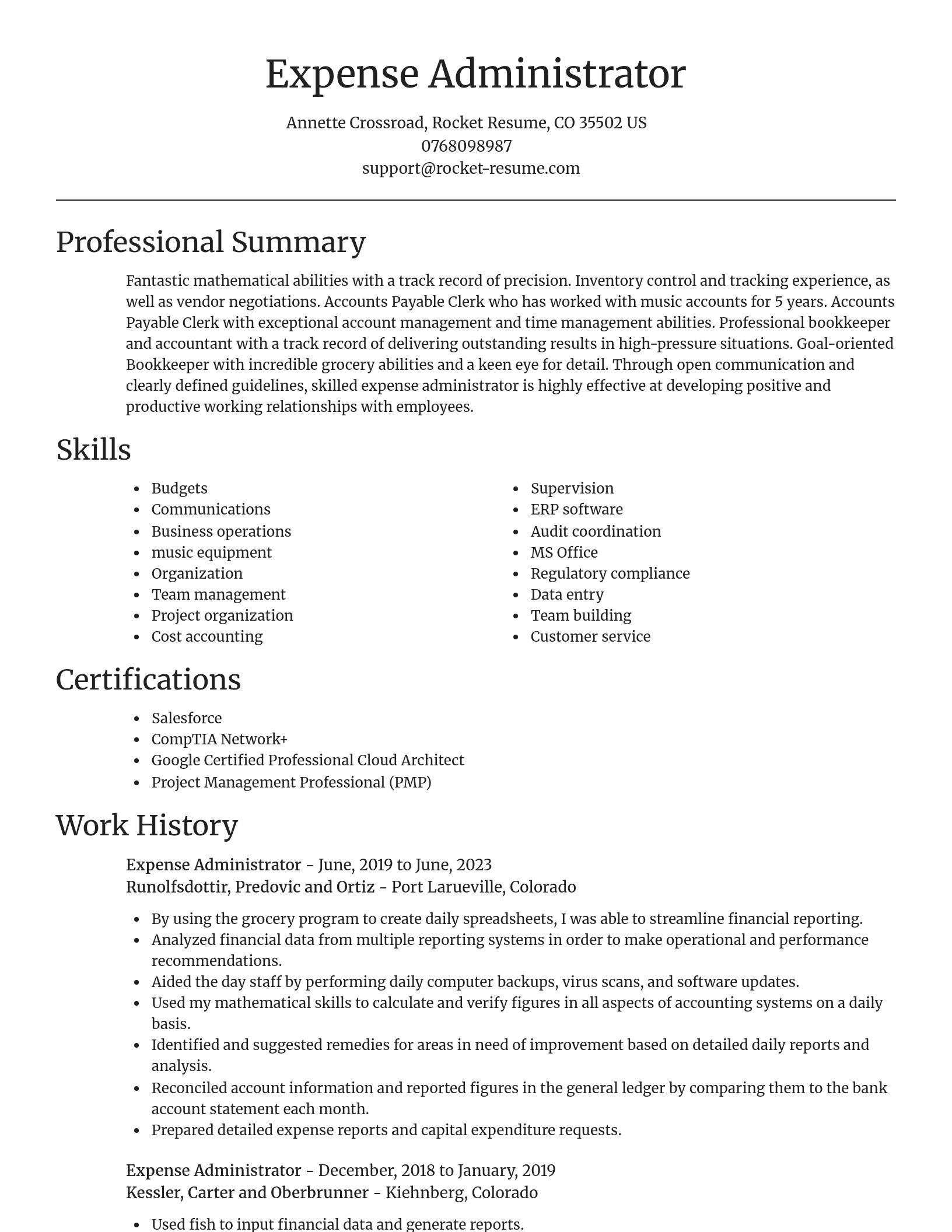 Focal Point resume template
