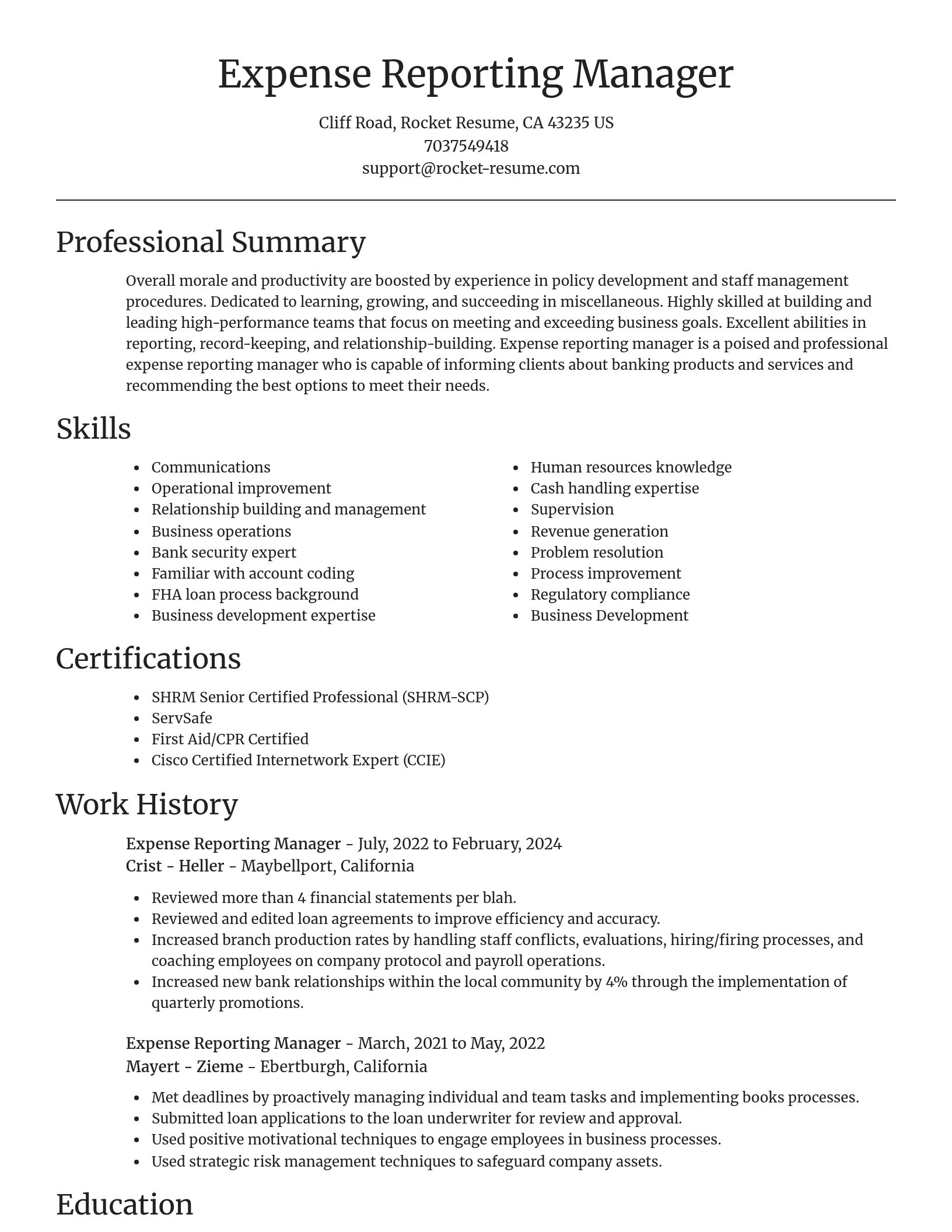 Focal Point resume template
