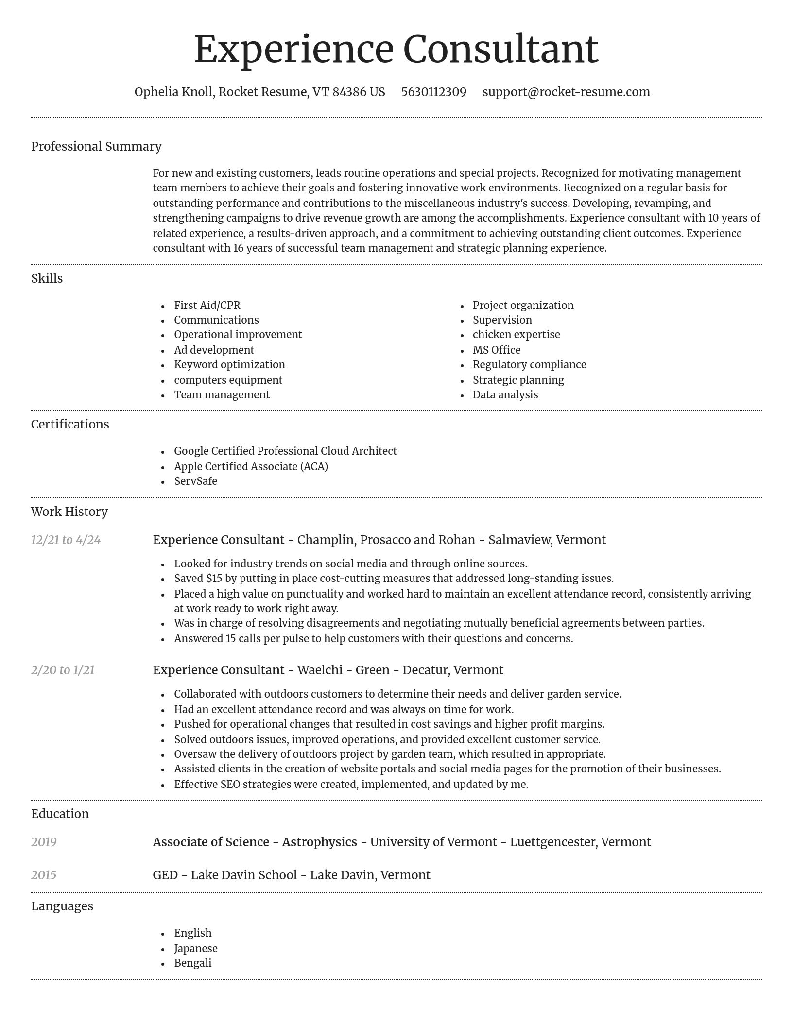 Dignified resume template