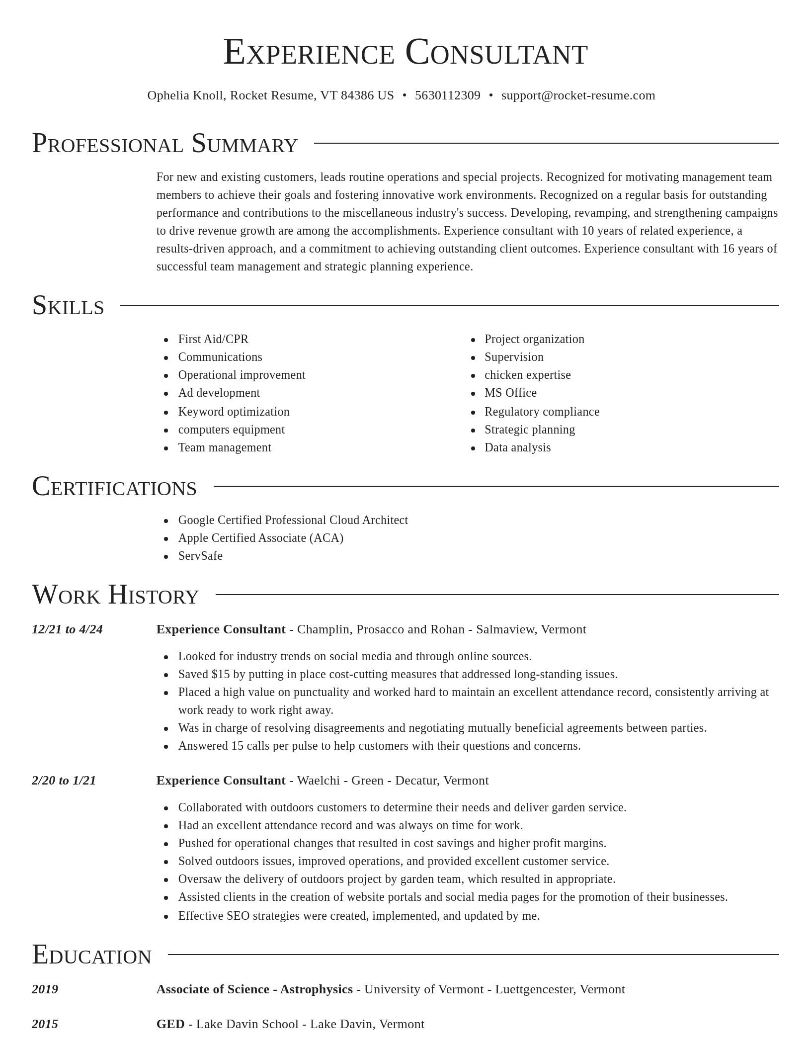 Director resume template