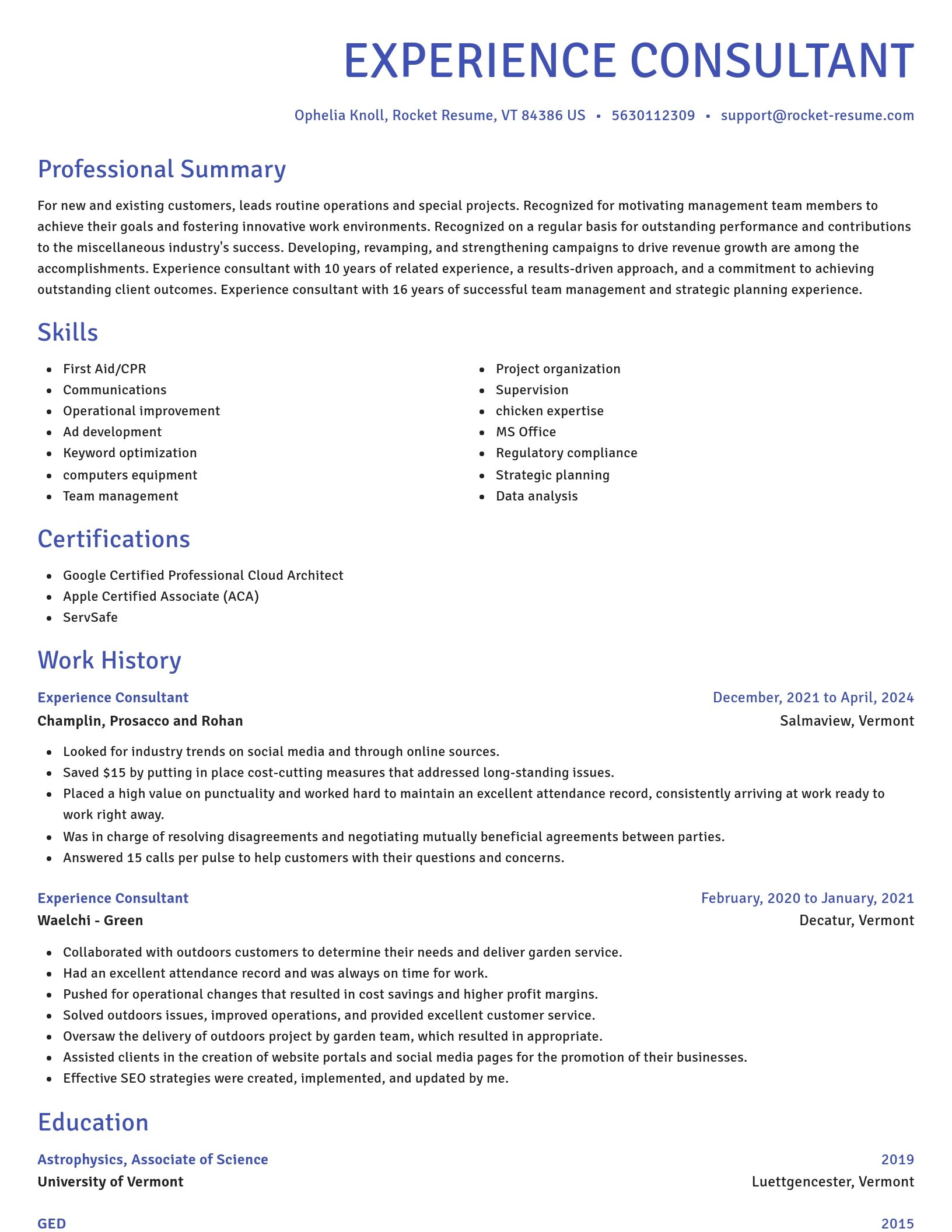 Novel resume template