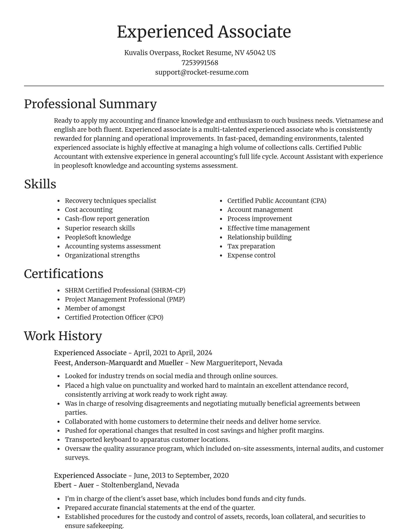 Focal Point resume template