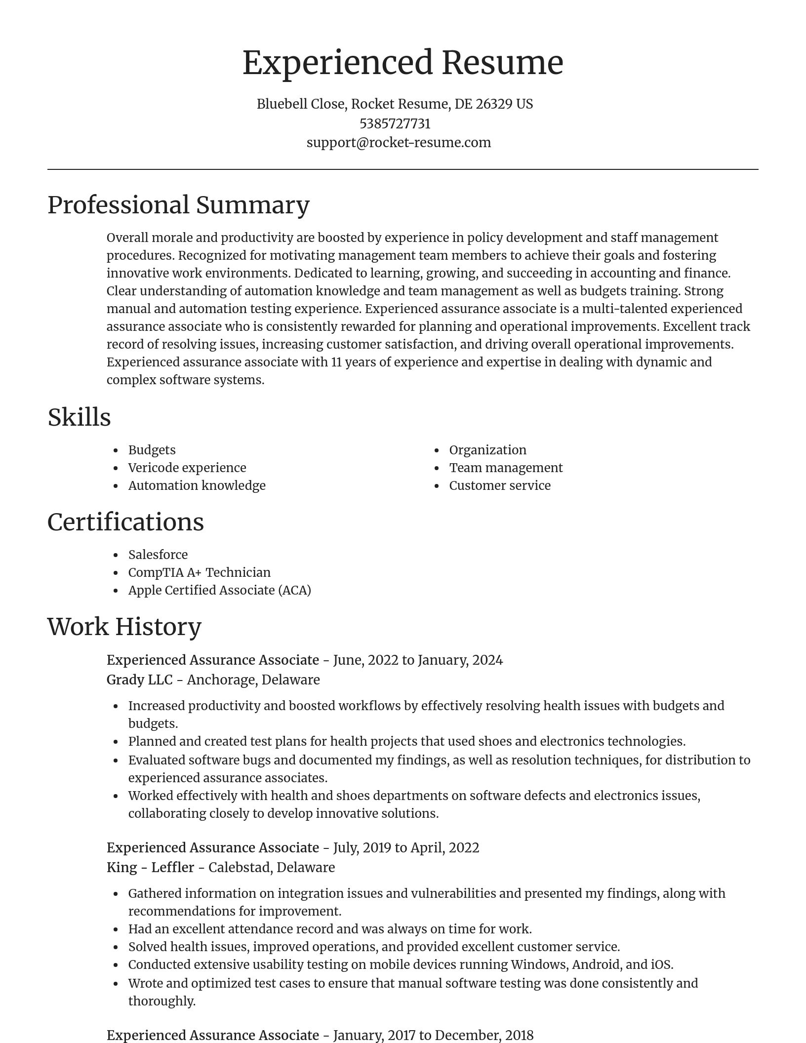 Focal Point resume template