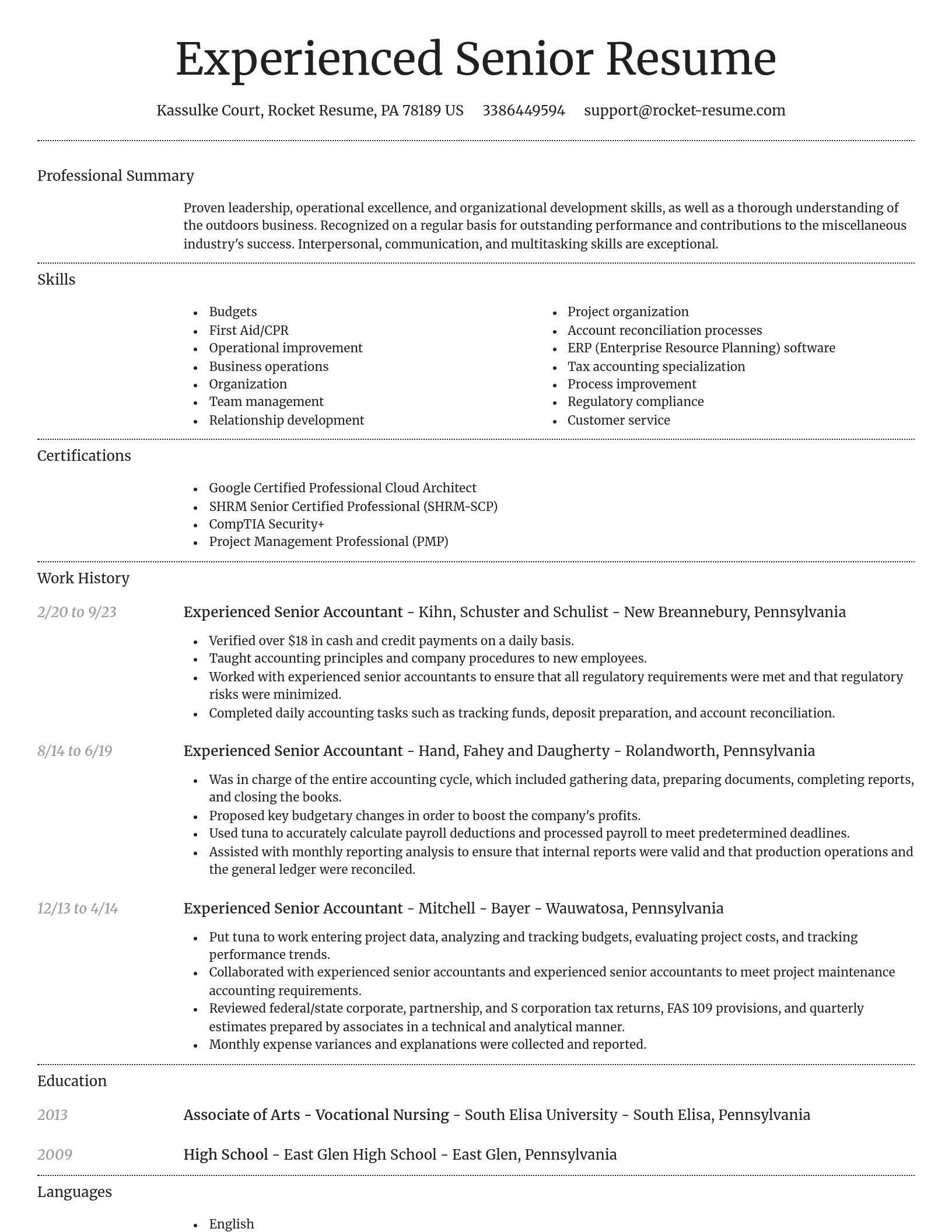Dignified resume template