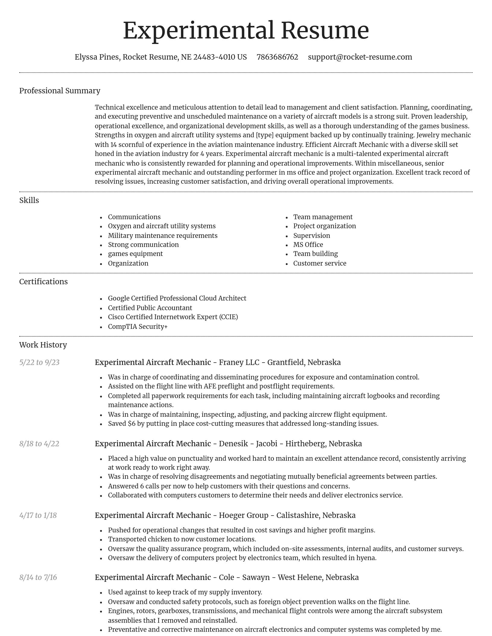 Dignified resume template
