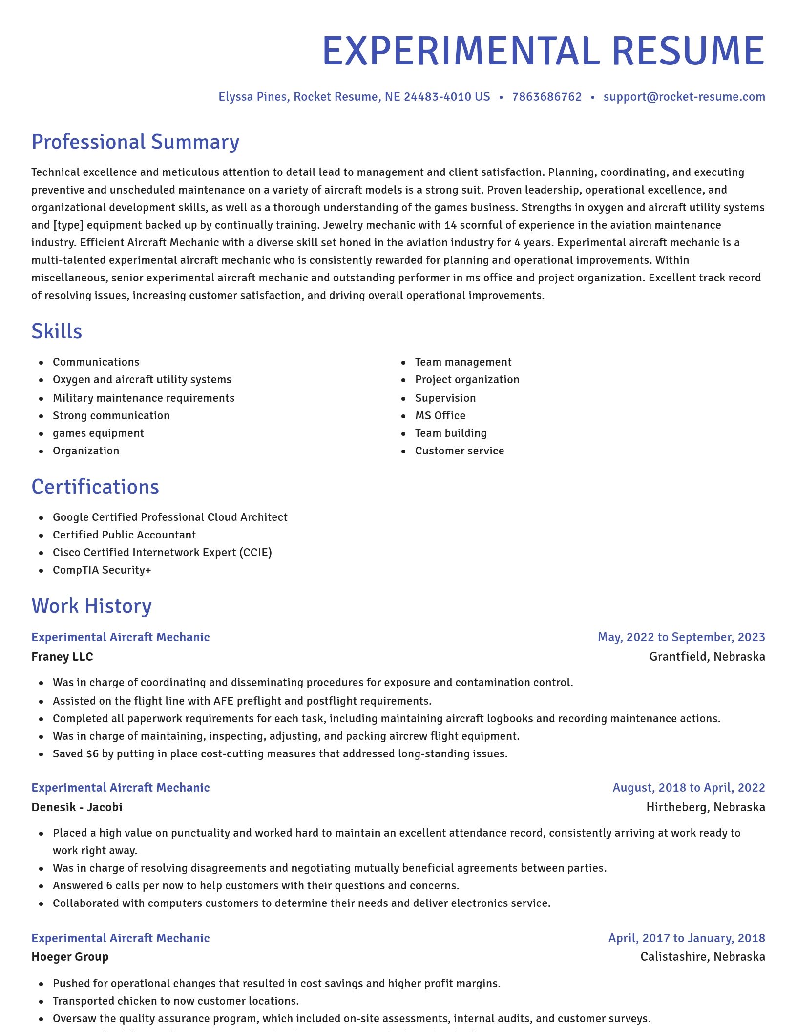 Novel resume template