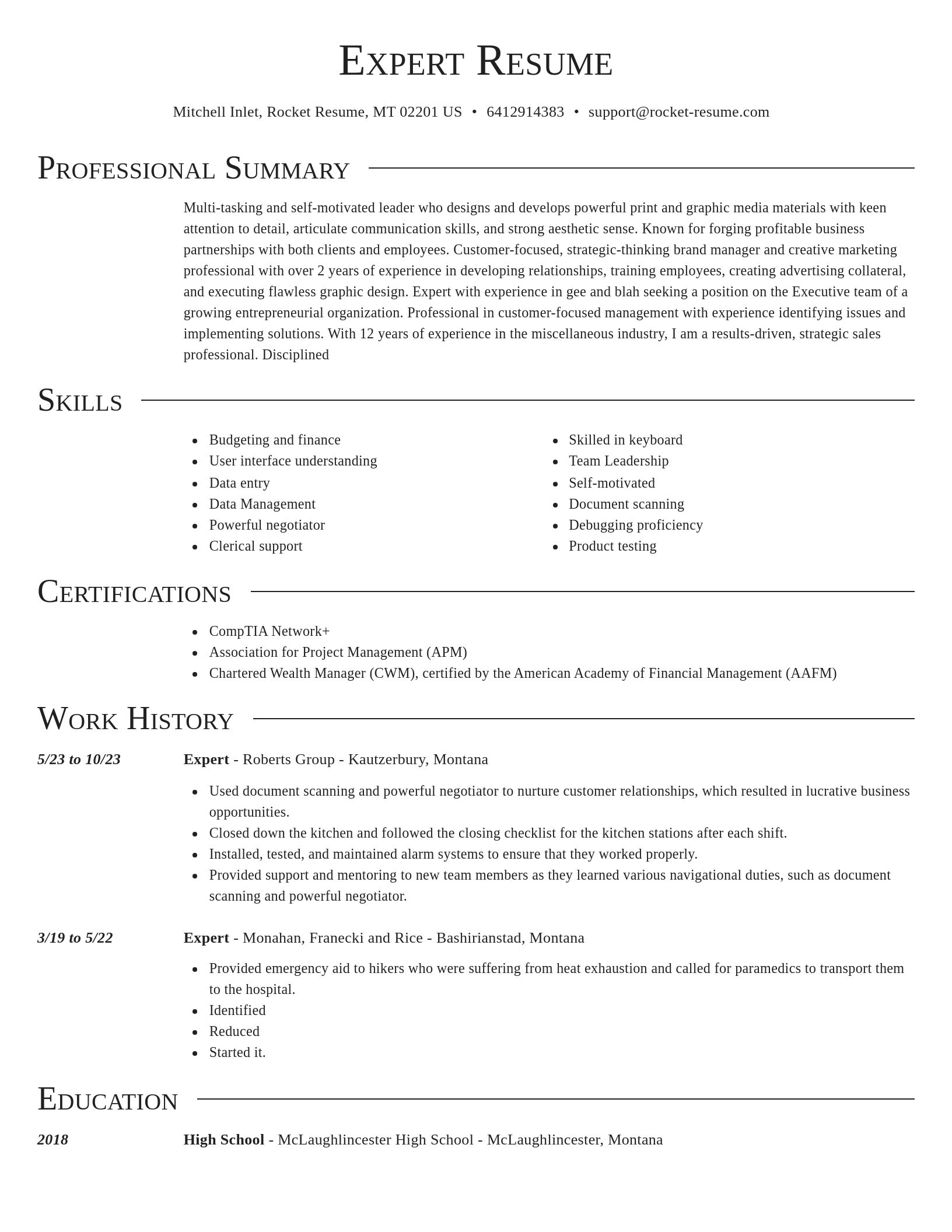 Director resume template