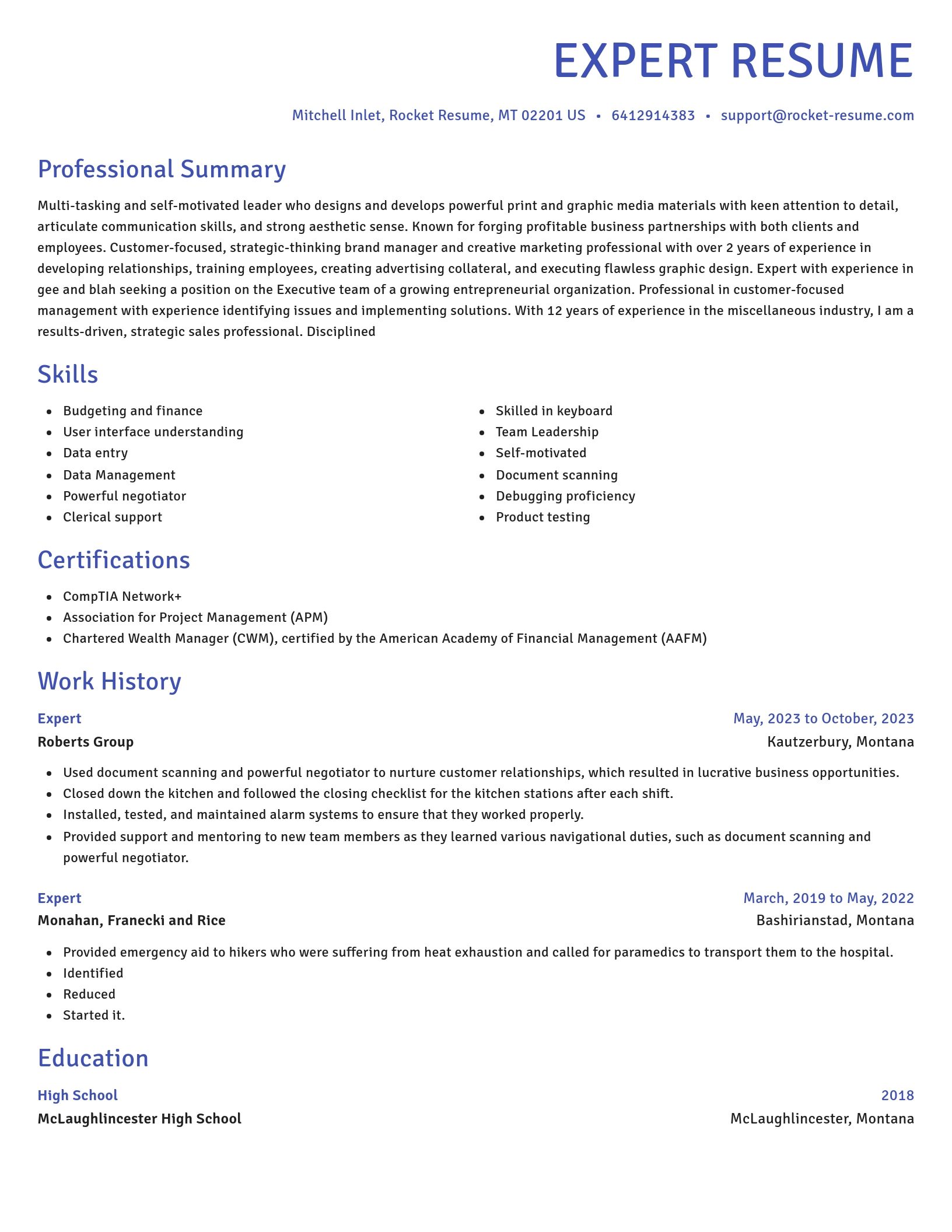 Novel resume template