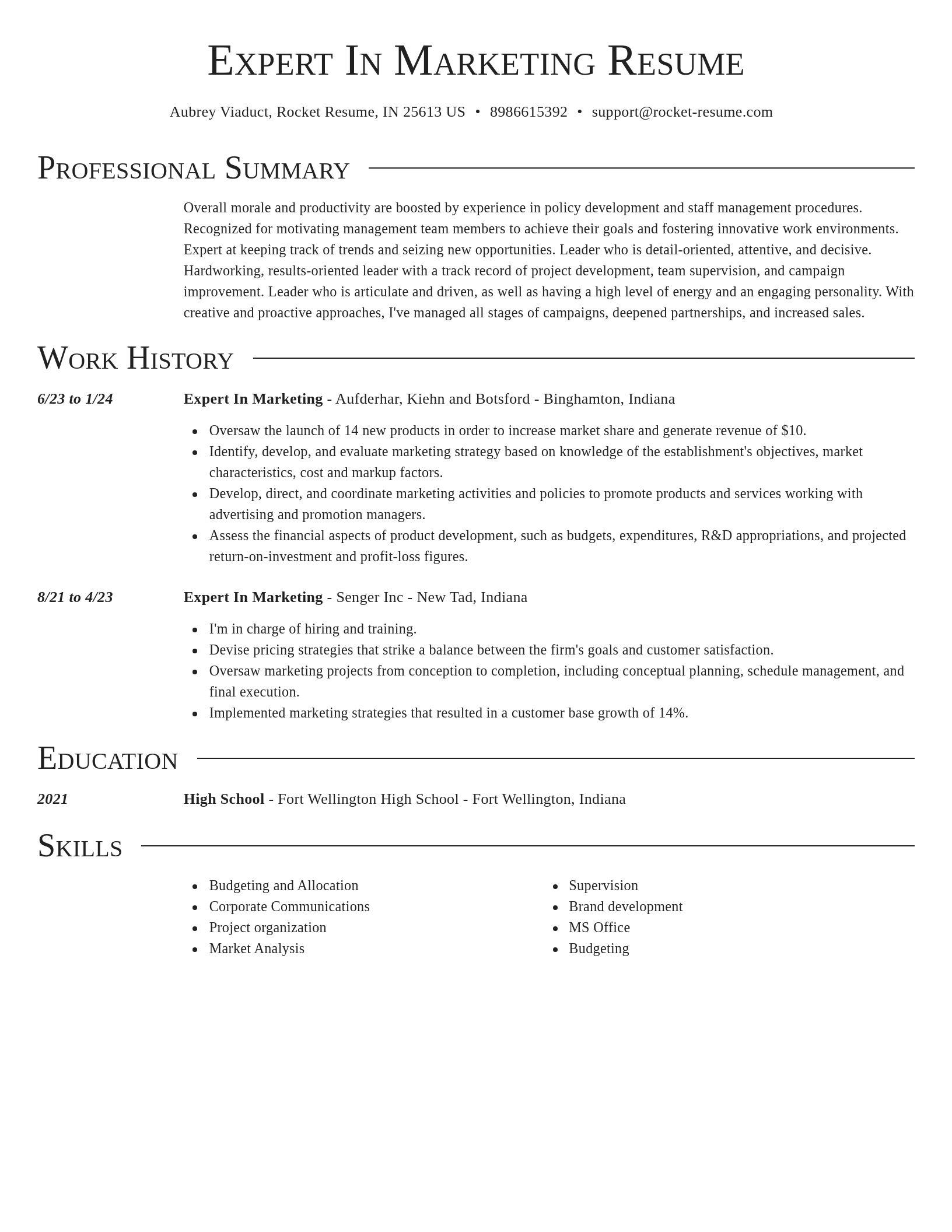 Director resume template