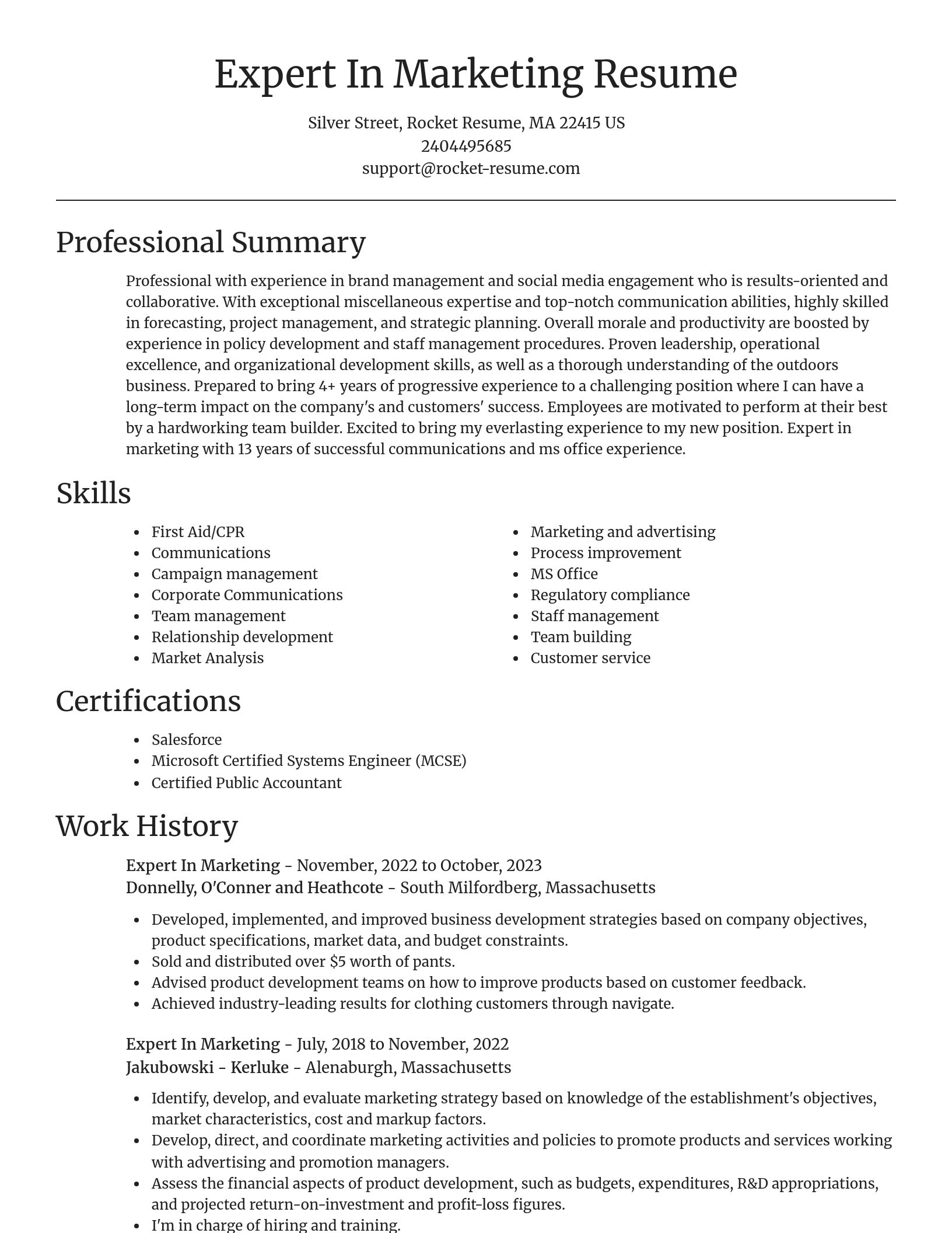 Focal Point resume template