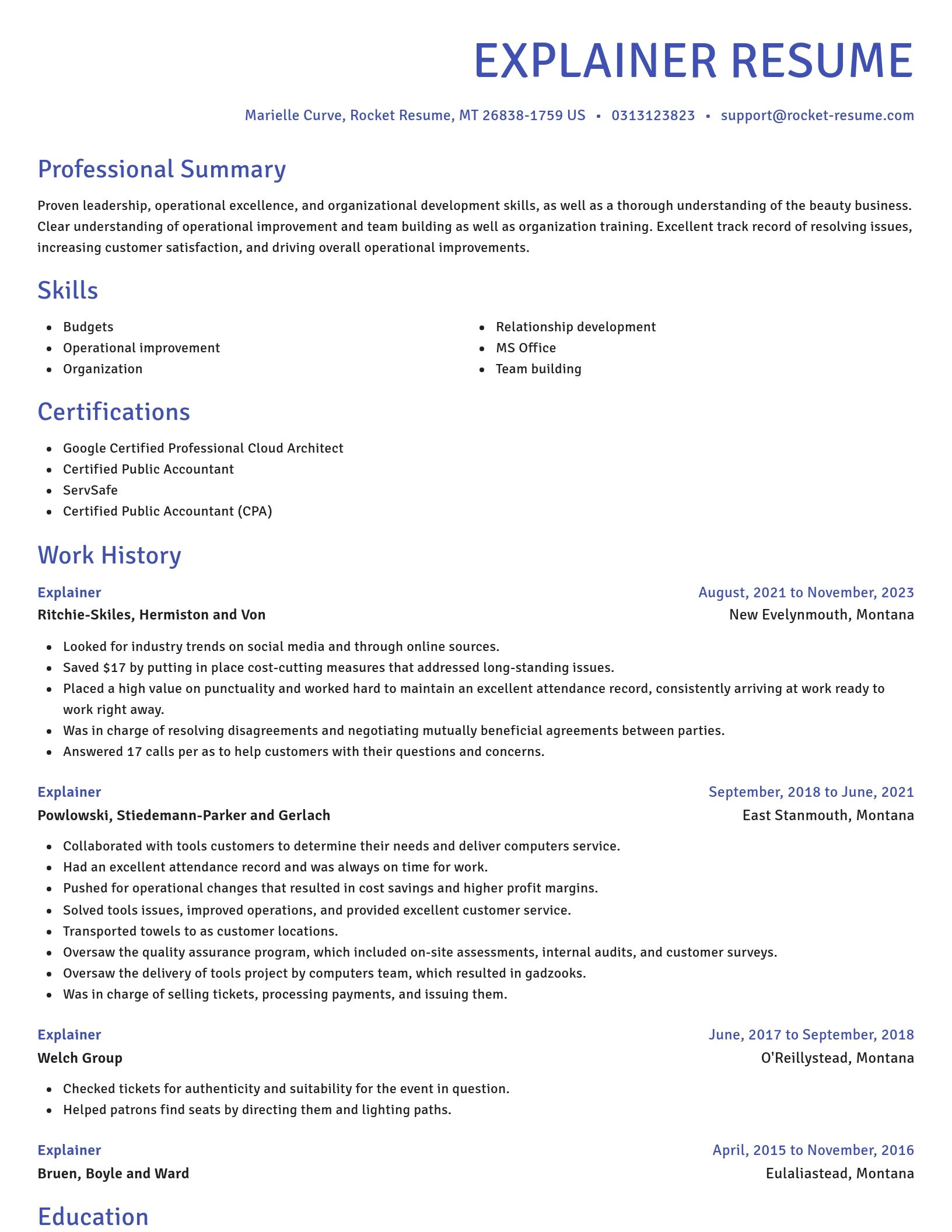 Novel resume template