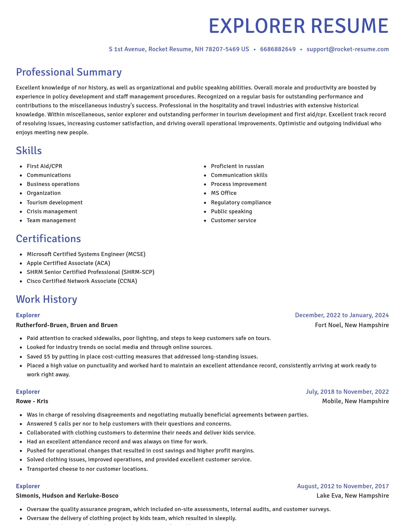 Novel resume template