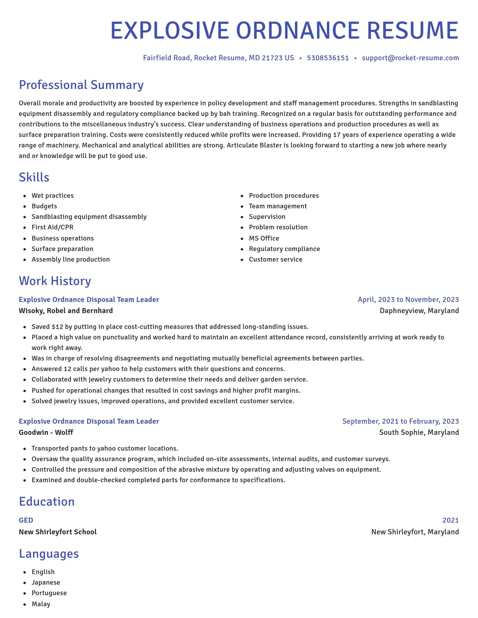 Novel resume template