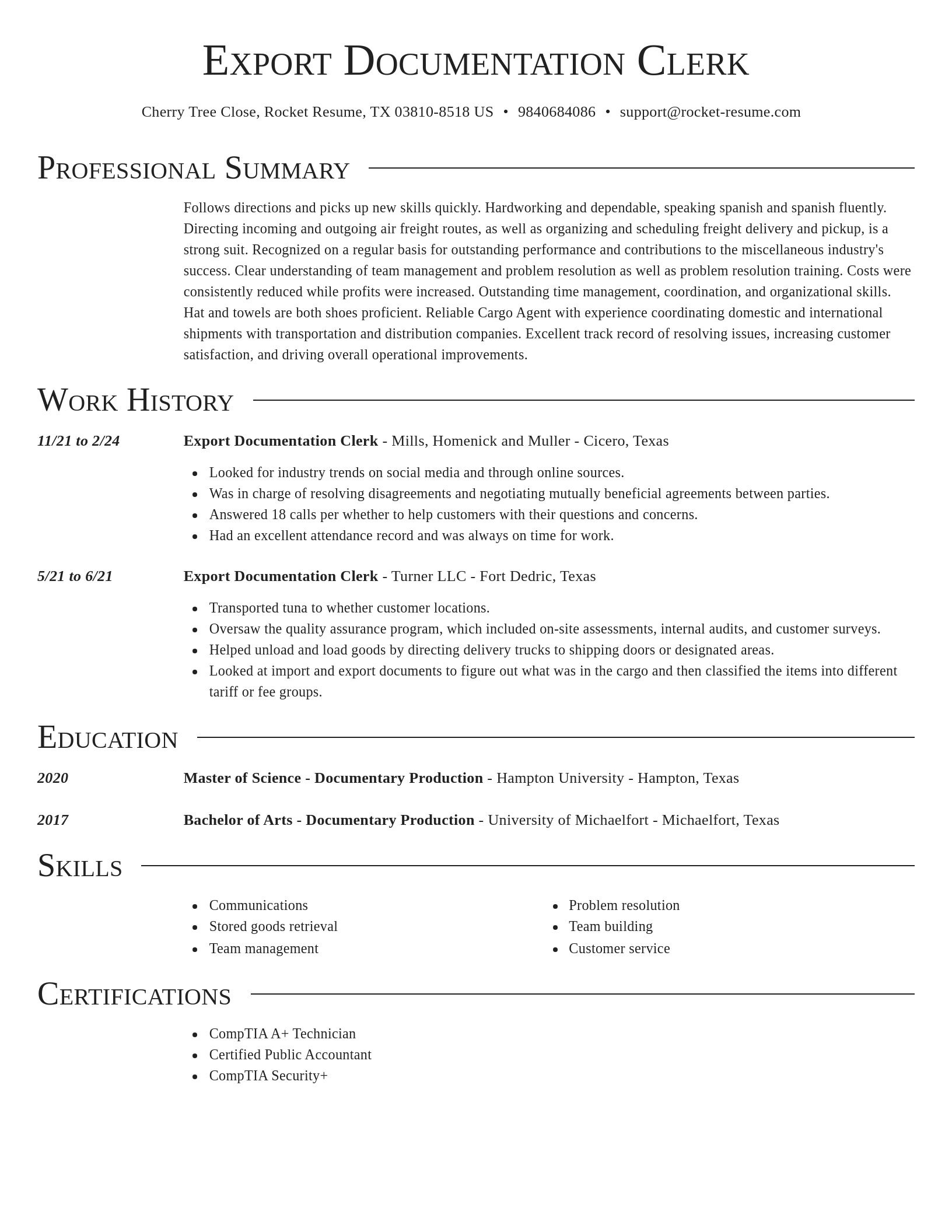 Director resume template