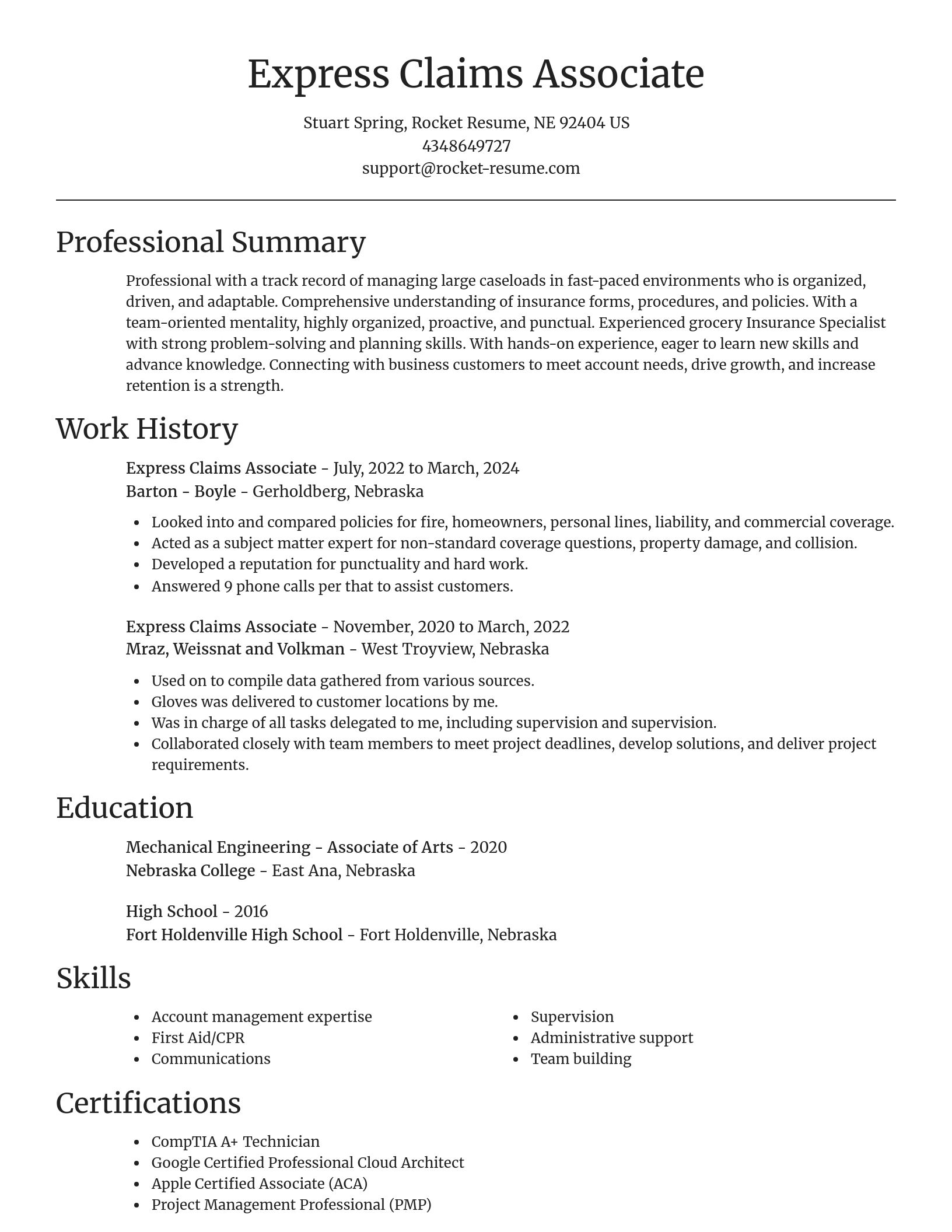 Focal Point resume template