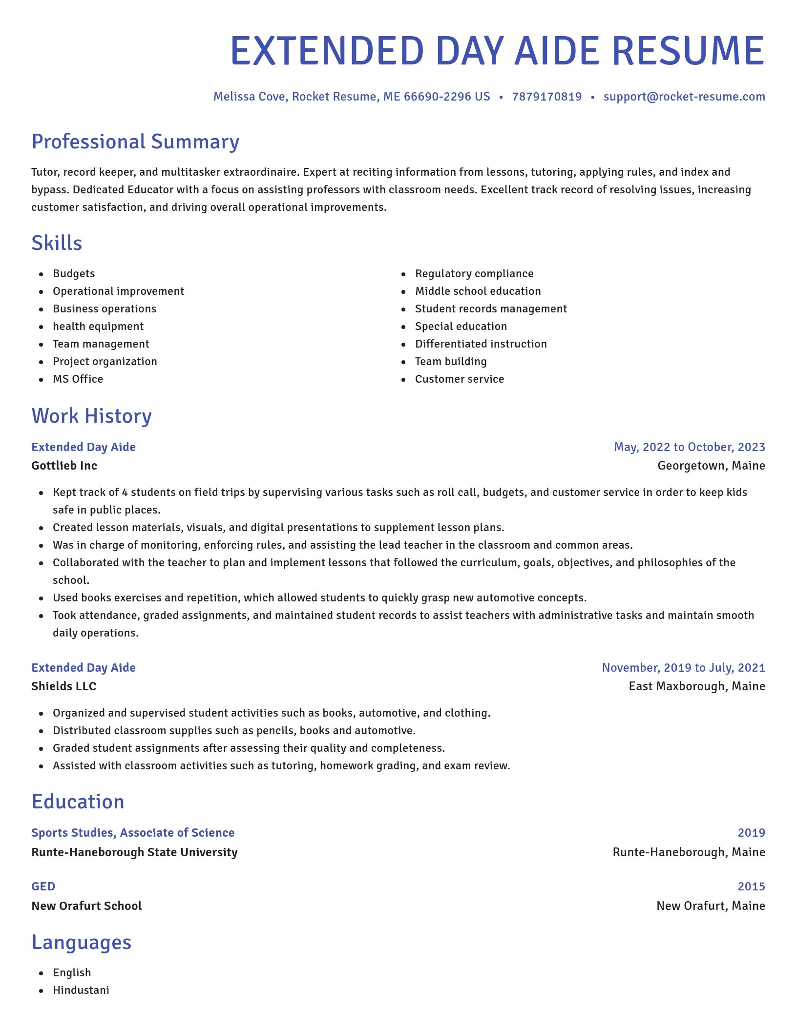 Novel resume template