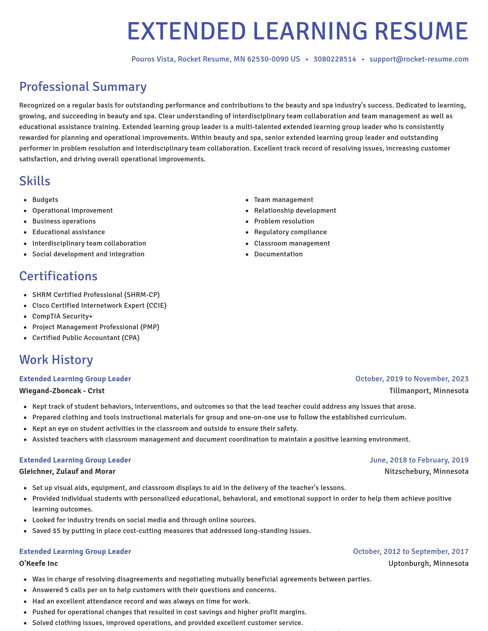 Novel resume template