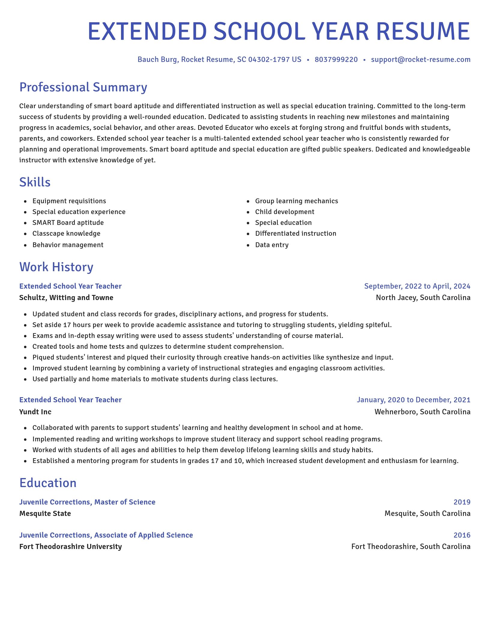 Novel resume template